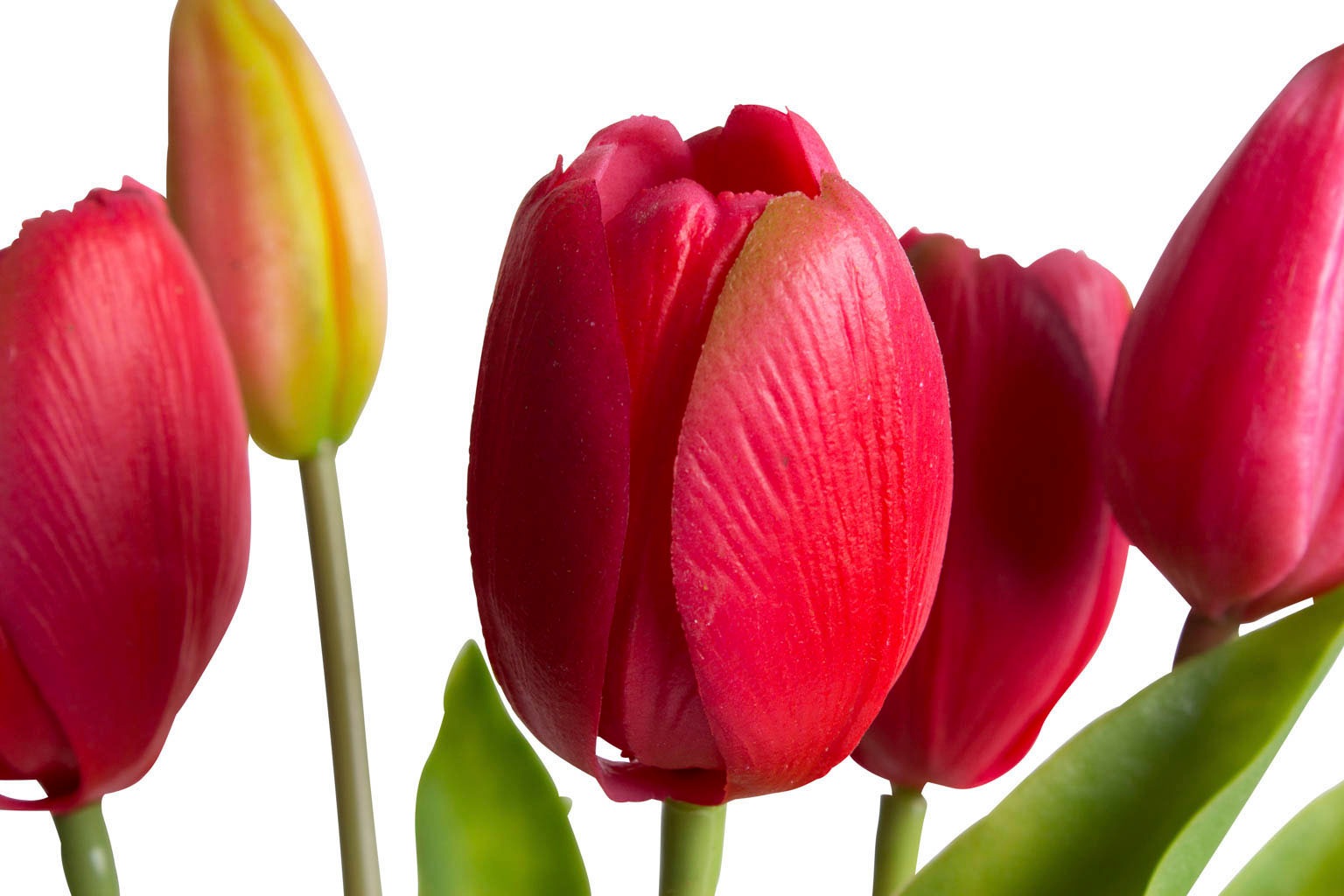 my home Kunstblume »Tulpenbündel Holland real Touch«