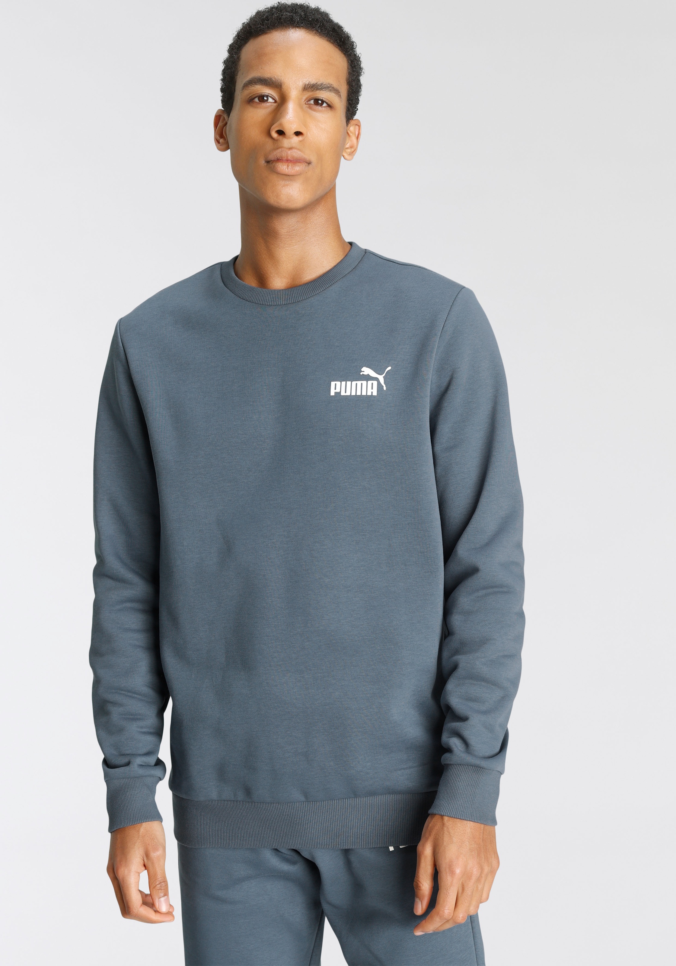 Image of PUMA Sweatshirt »ESSENTIALS SMALL LOGO CREW« bei Ackermann Versand Schweiz