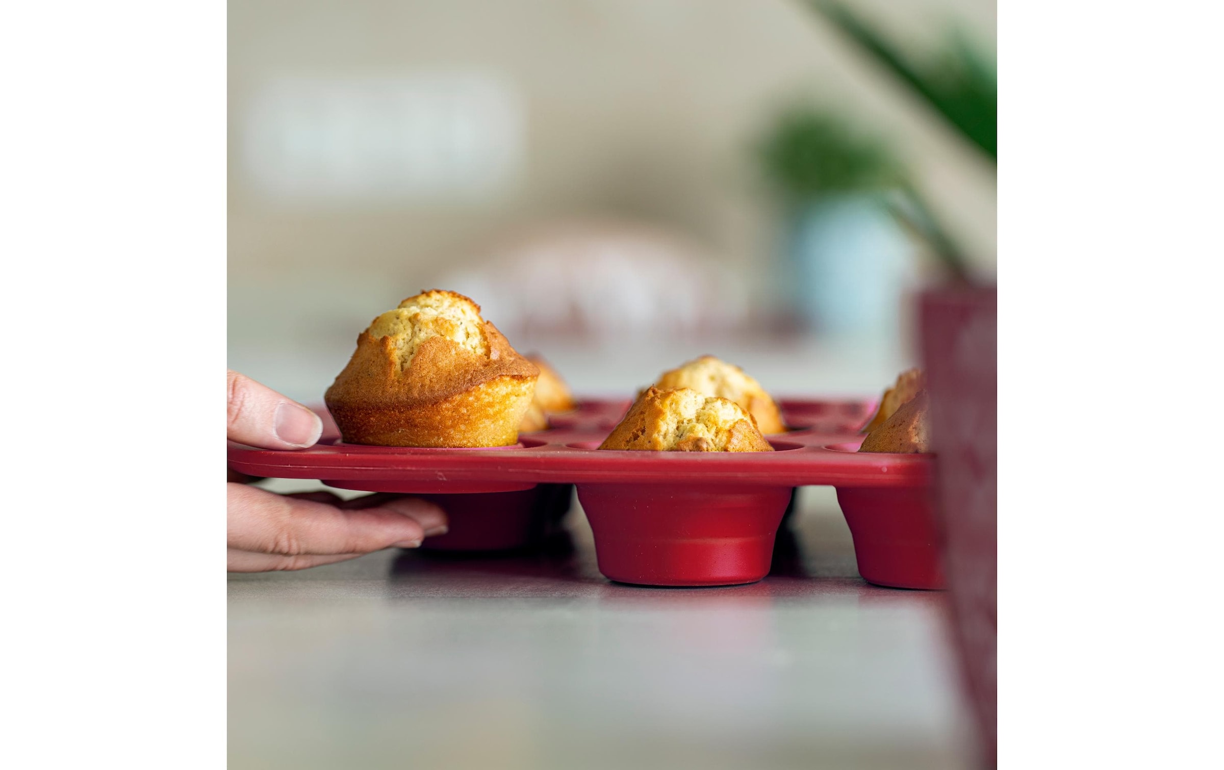 coox Muffinform »12 Mulden«, (1 St.)