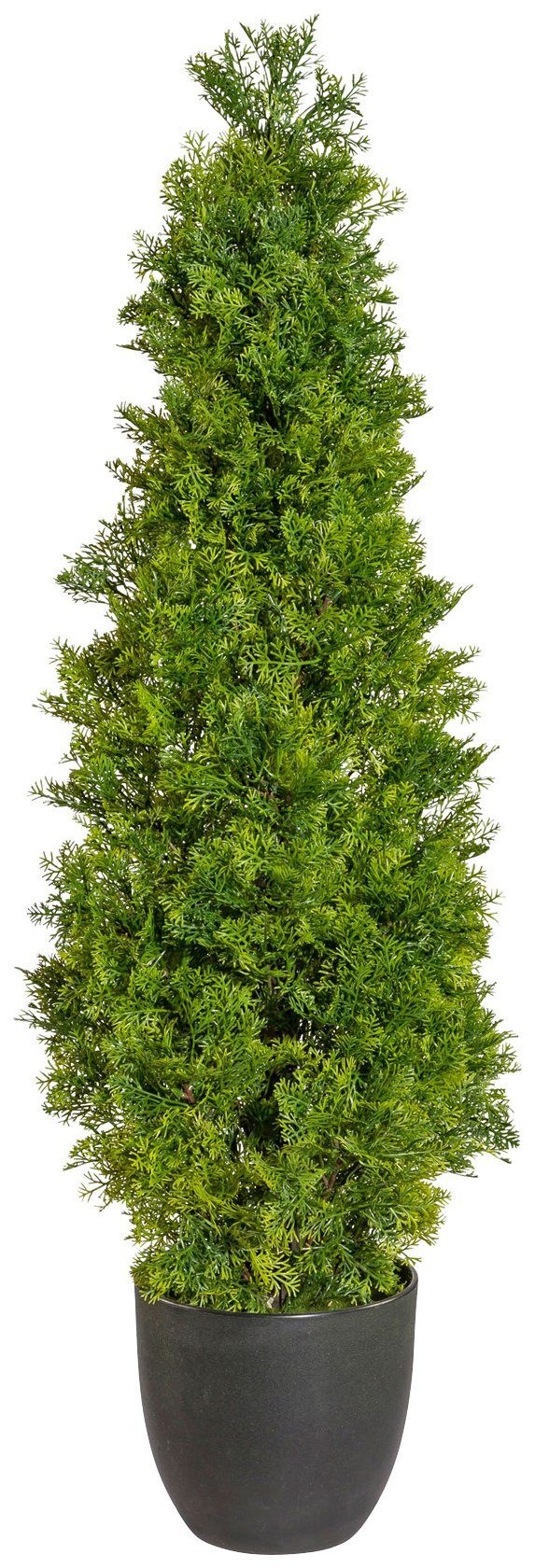Image of Creativ green Kunstpflanze »Zypressenpyramide«, (1 St.), im Kunststofftopf bei Ackermann Versand Schweiz