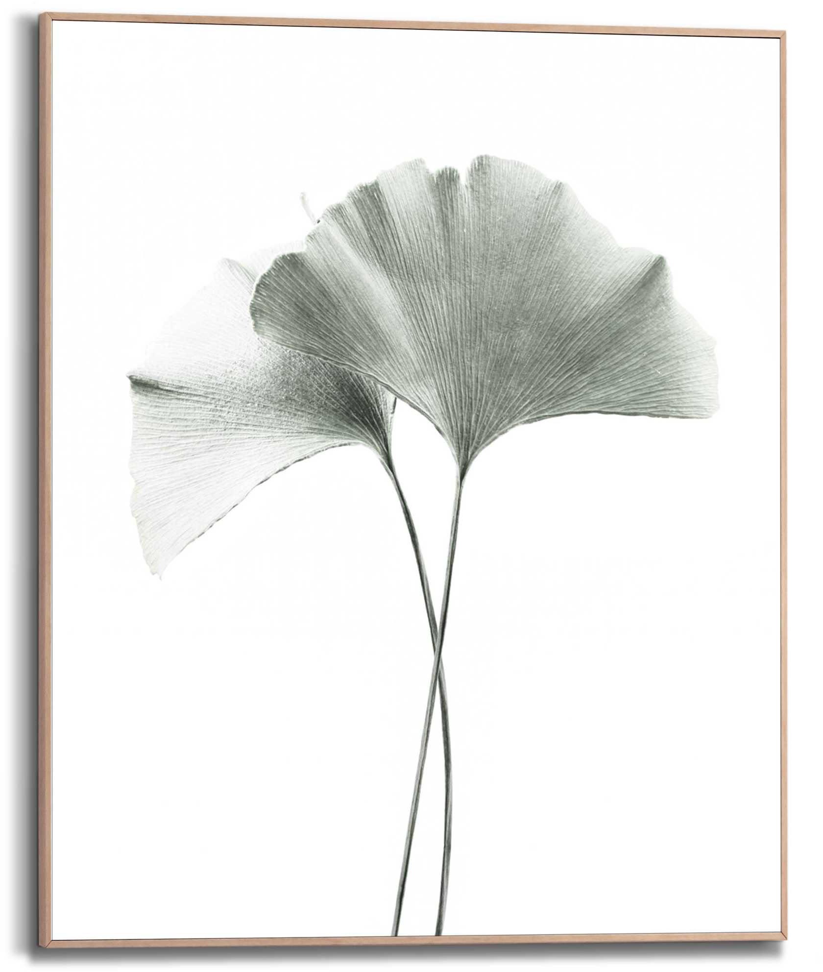 Image of Reinders! Kunstdruck »Ginkgo Blatt« bei Ackermann Versand Schweiz