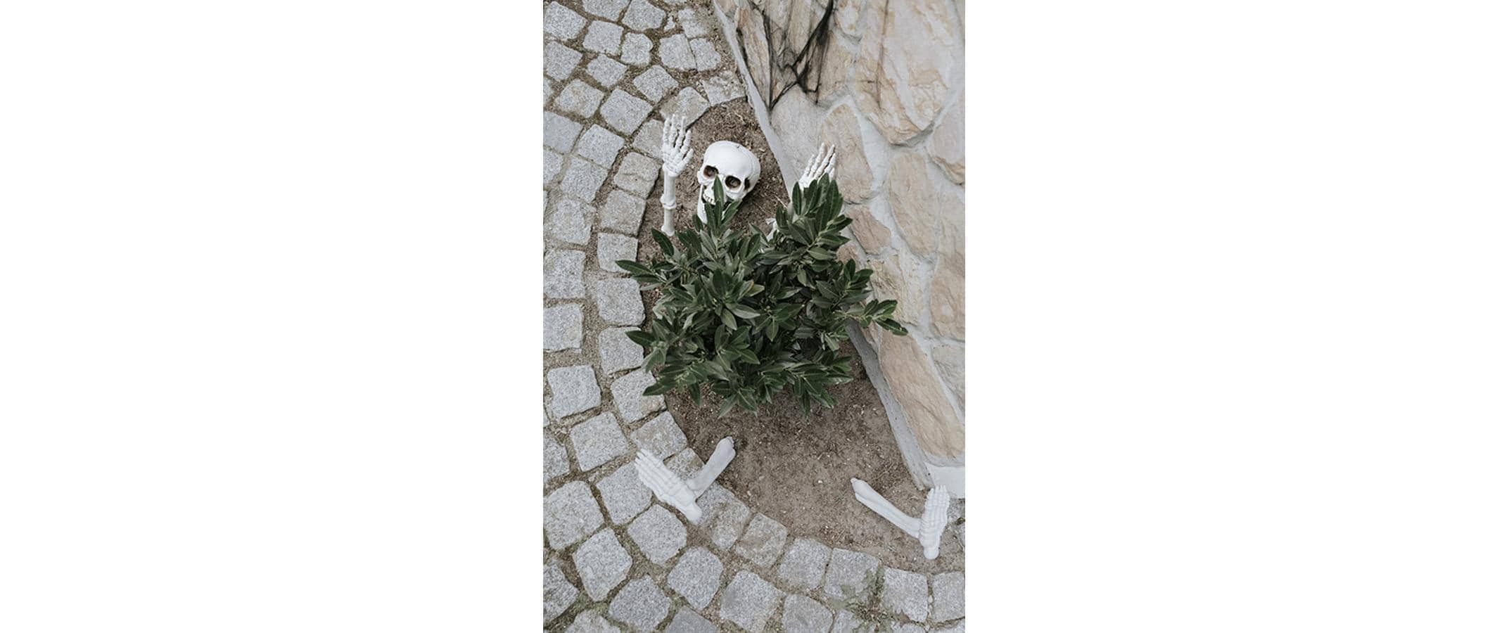 partydeco Dekofigur »Halloweenfigur Skelett 5-teilig«