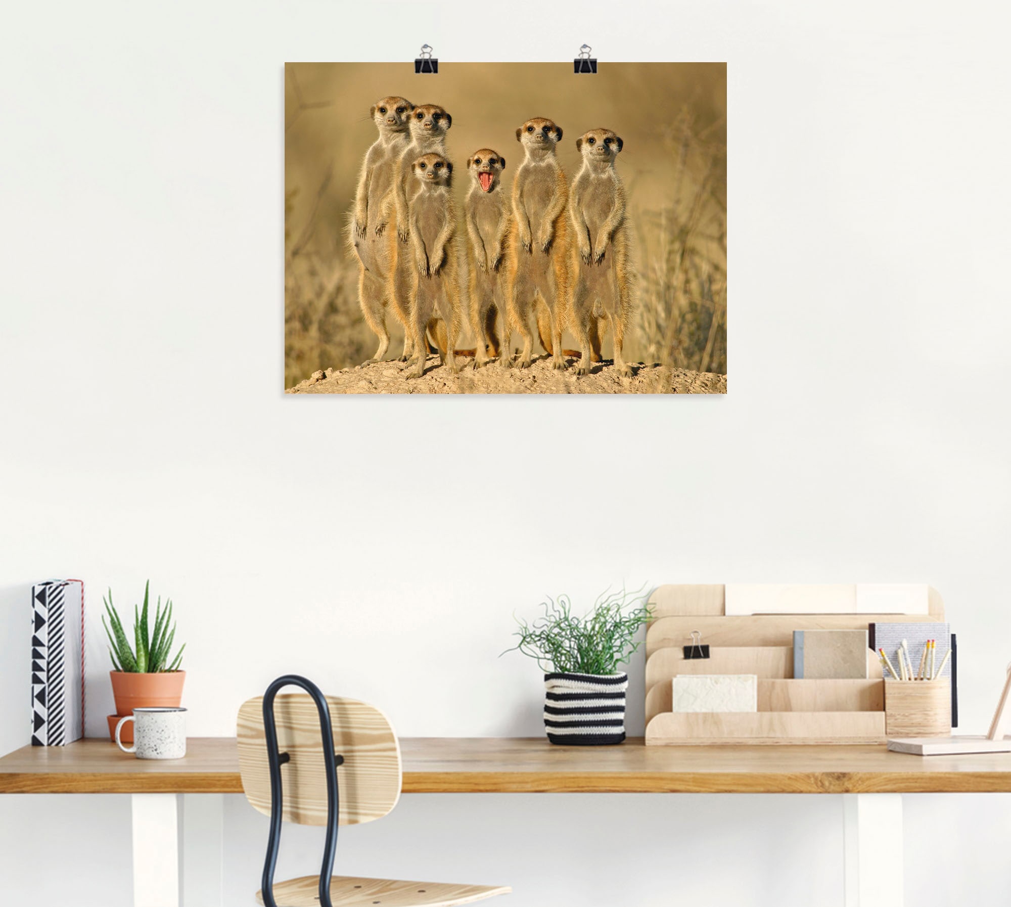 Artland Wandbild »Erdmännchen Familie«, Wildtiere, (1 St.), als Alubild, Outdoorbild, Leinwandbild, Poster, Wandaufkleber