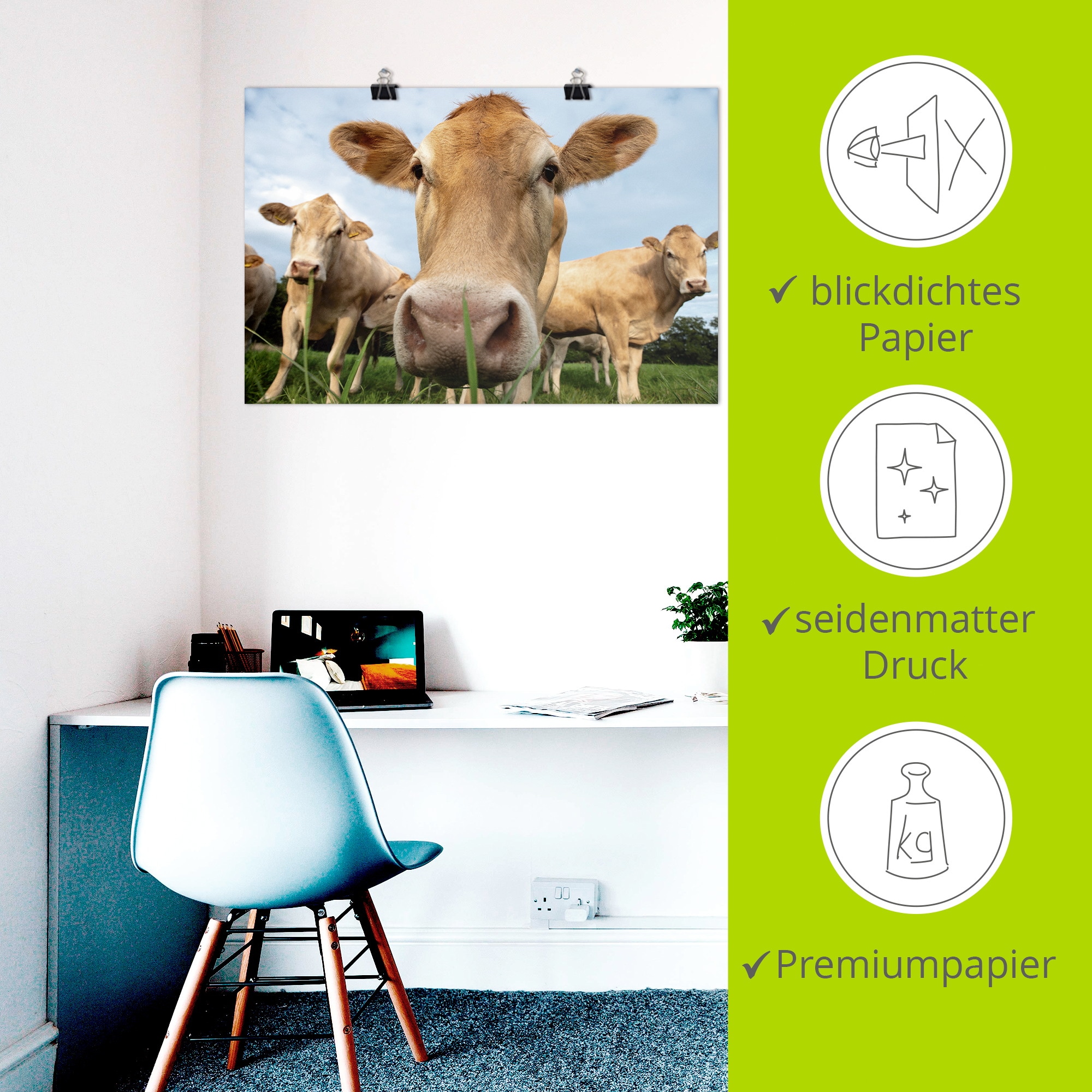 Artland Wandbild »Neugier auf der Weide - Alpenkühe« Kuhbilder 1 Stk. tlg. als Alubild, Leinwandbild, Poster, Wandaufkleber in verschied. Grössen