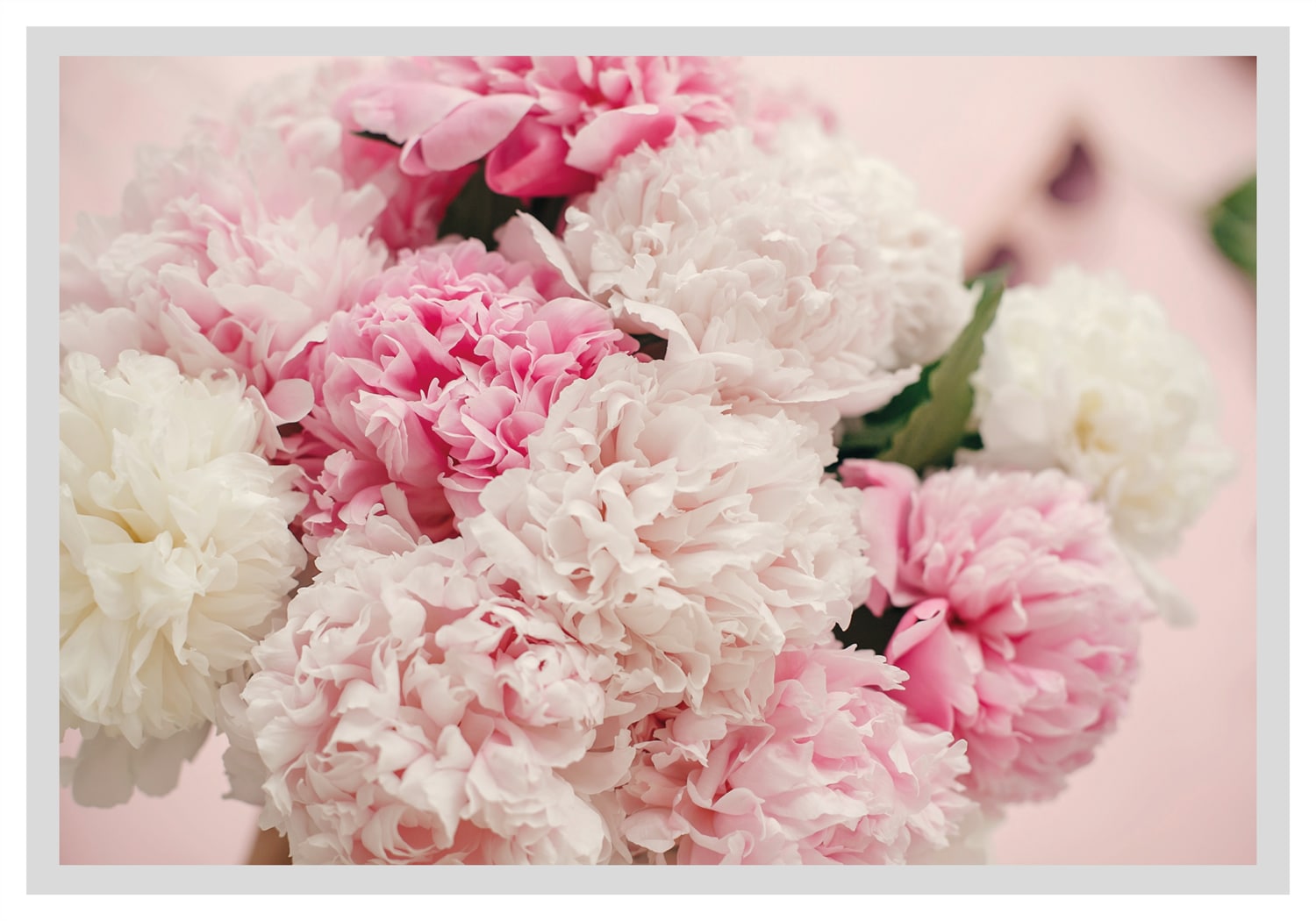 queence Bild »Martin«, Blumen, gerahmt, Rosen