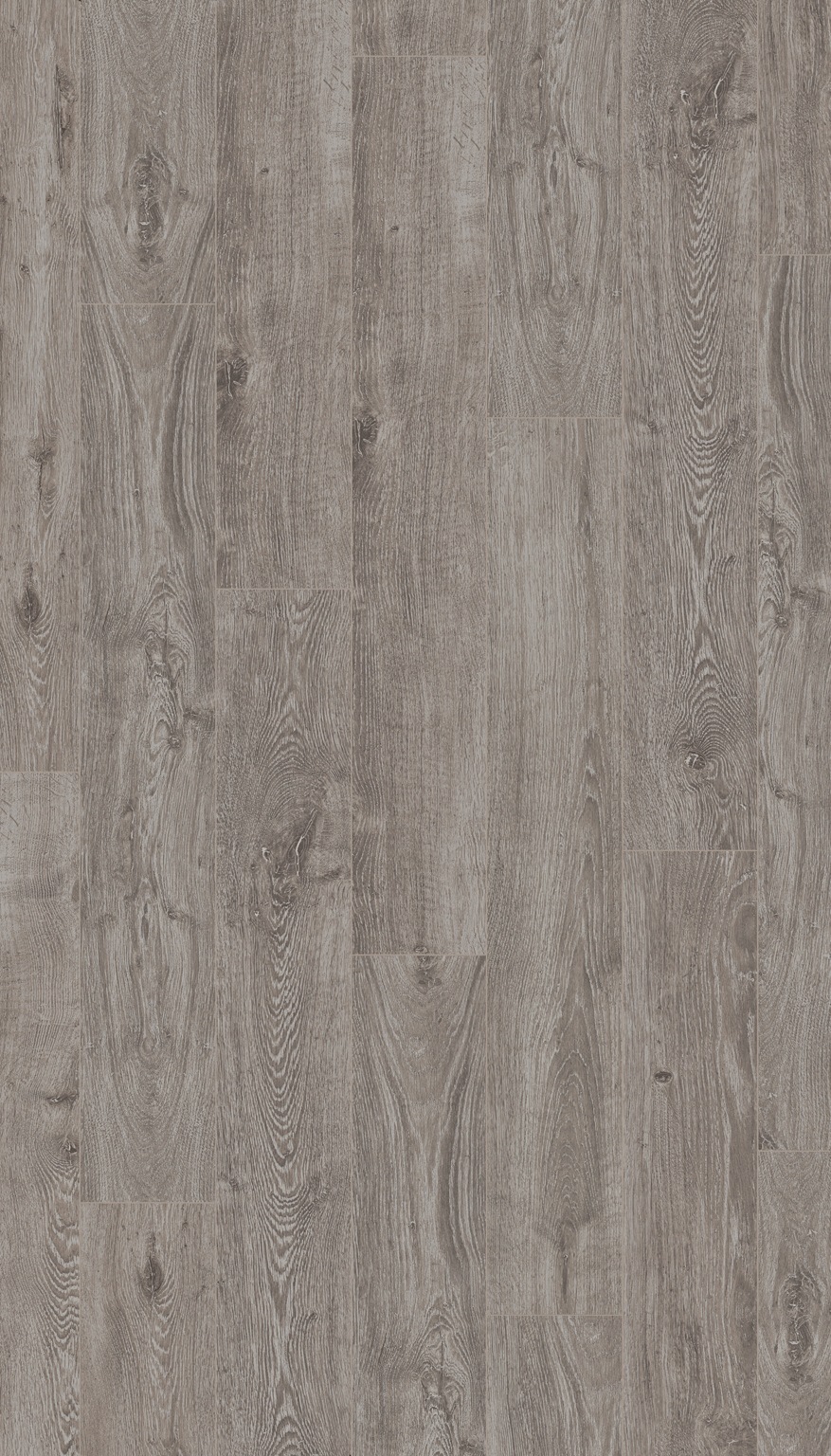 Image of PARADOR Laminat »Basic 400 - Eiche Lichtgrau«, (Packung), Kantenimprägnierung, 1285 x 194 mm, Stärke: 8 mm bei Ackermann Versand Schweiz