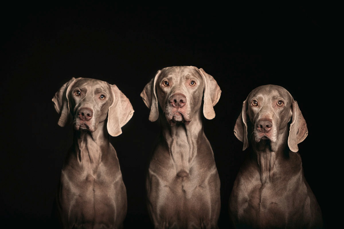 Image of Papermoon Fototapete »Haus am Wasser«, Vliestapete, hochwertiger Digitaldruck, inklusive Kleister bei Ackermann Versand Schweiz