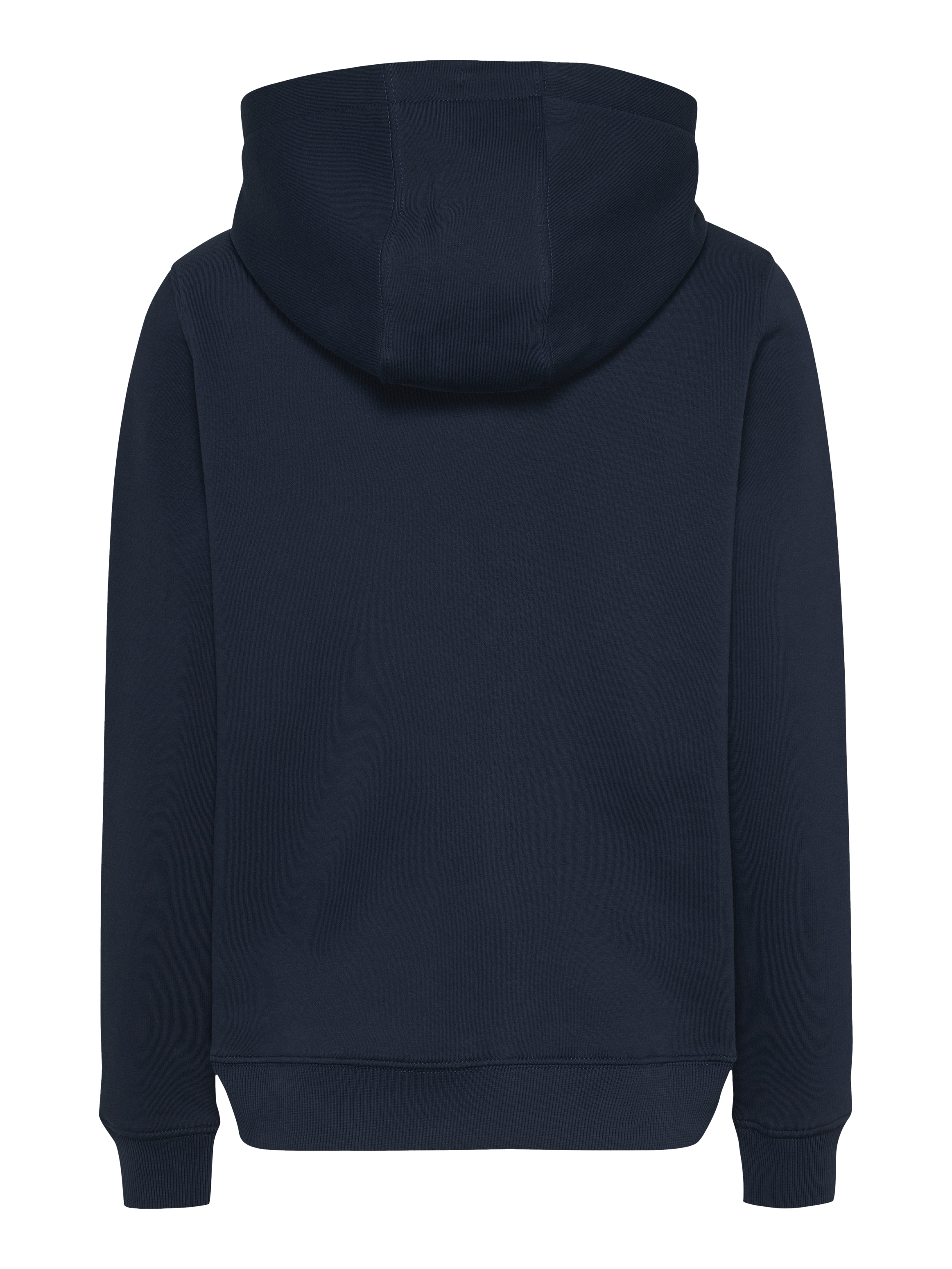Tommy Jeans Curve Kapuzensweatshirt »TJW REG ESS LOGO HOODIE EXT«, in Grossen Grössen, Kapuze, Logo-Flag