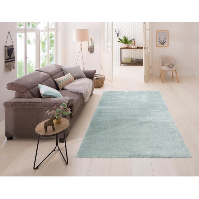 andas Teppich »Thea«, rechteckig, Pastell-Farben, Teppich, einfarbig,  weich, fürs Wohnzimmer günstig kaufen