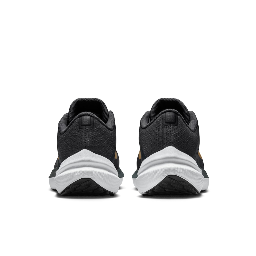 Nike Laufschuh »Winflo 10«