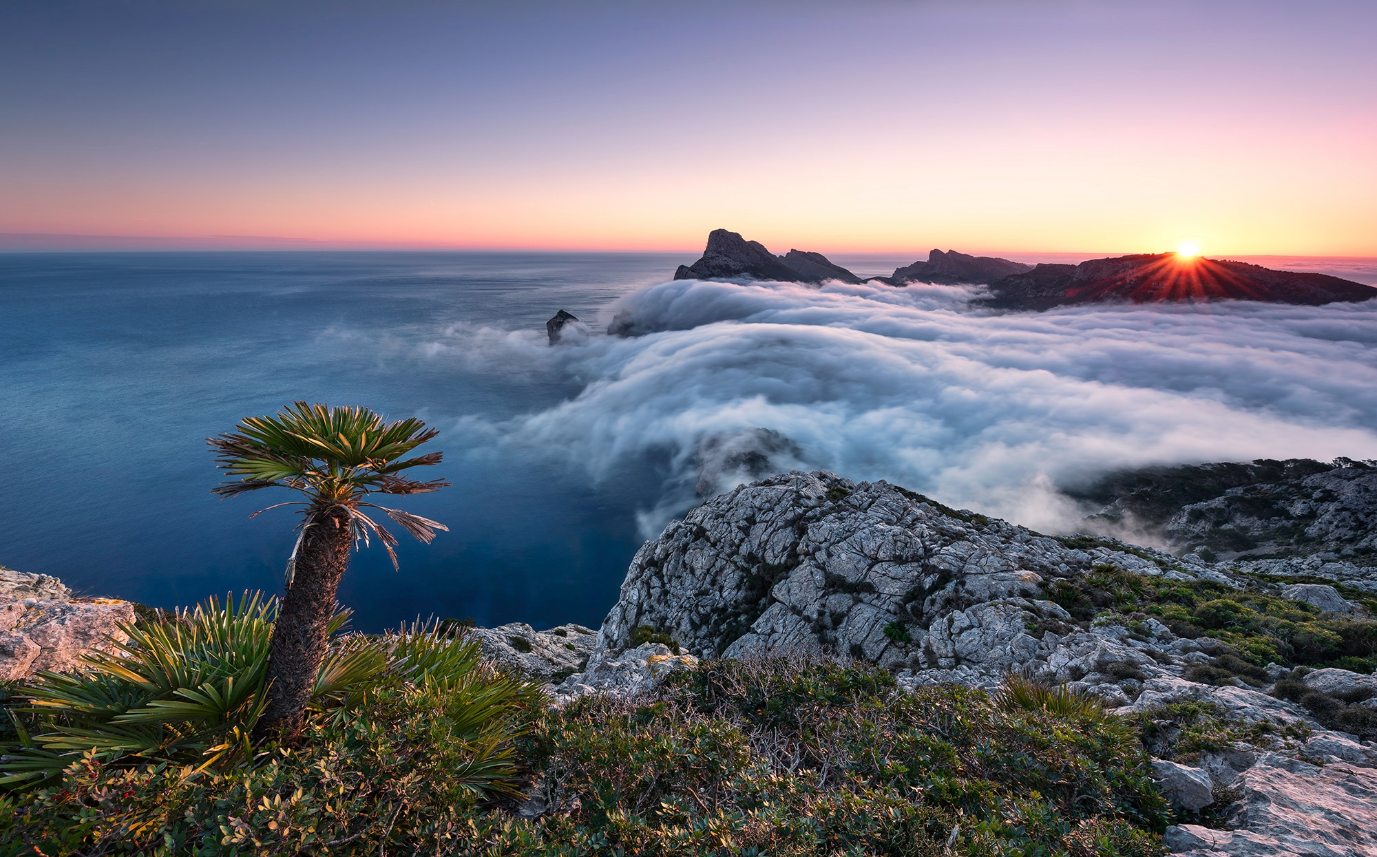 Image of Komar Fototapete »Island Paradise«, mehrfarbig-natürlich-bedruckt bei Ackermann Versand Schweiz