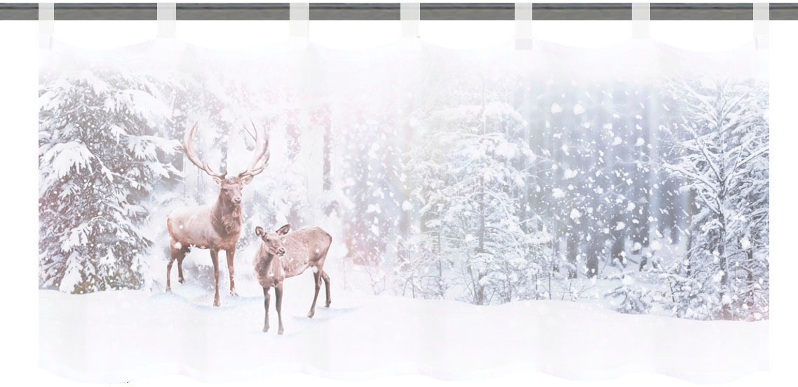 Image of HOME WOHNIDEEN Scheibengardine »HIRALIA«, (1 St.), aufwendiges Digitaldruckverfahren bei Ackermann Versand Schweiz