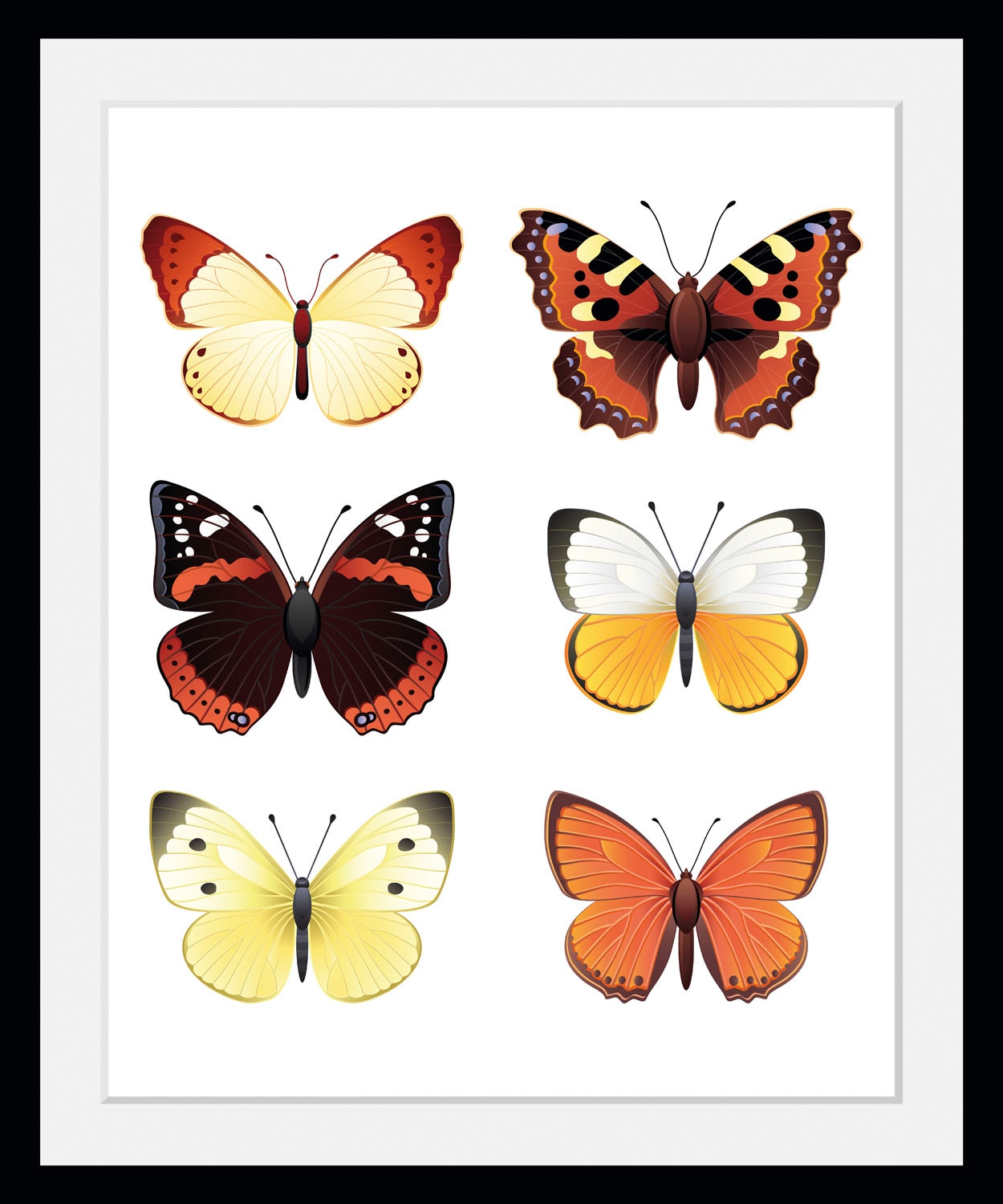 Image of queence Bild "Elina" Insekten Kunst Schmetterlinge historische Ereignisse 1 Stk. tlg. HD Premium Poster-Druck inkl. Holzrahmen