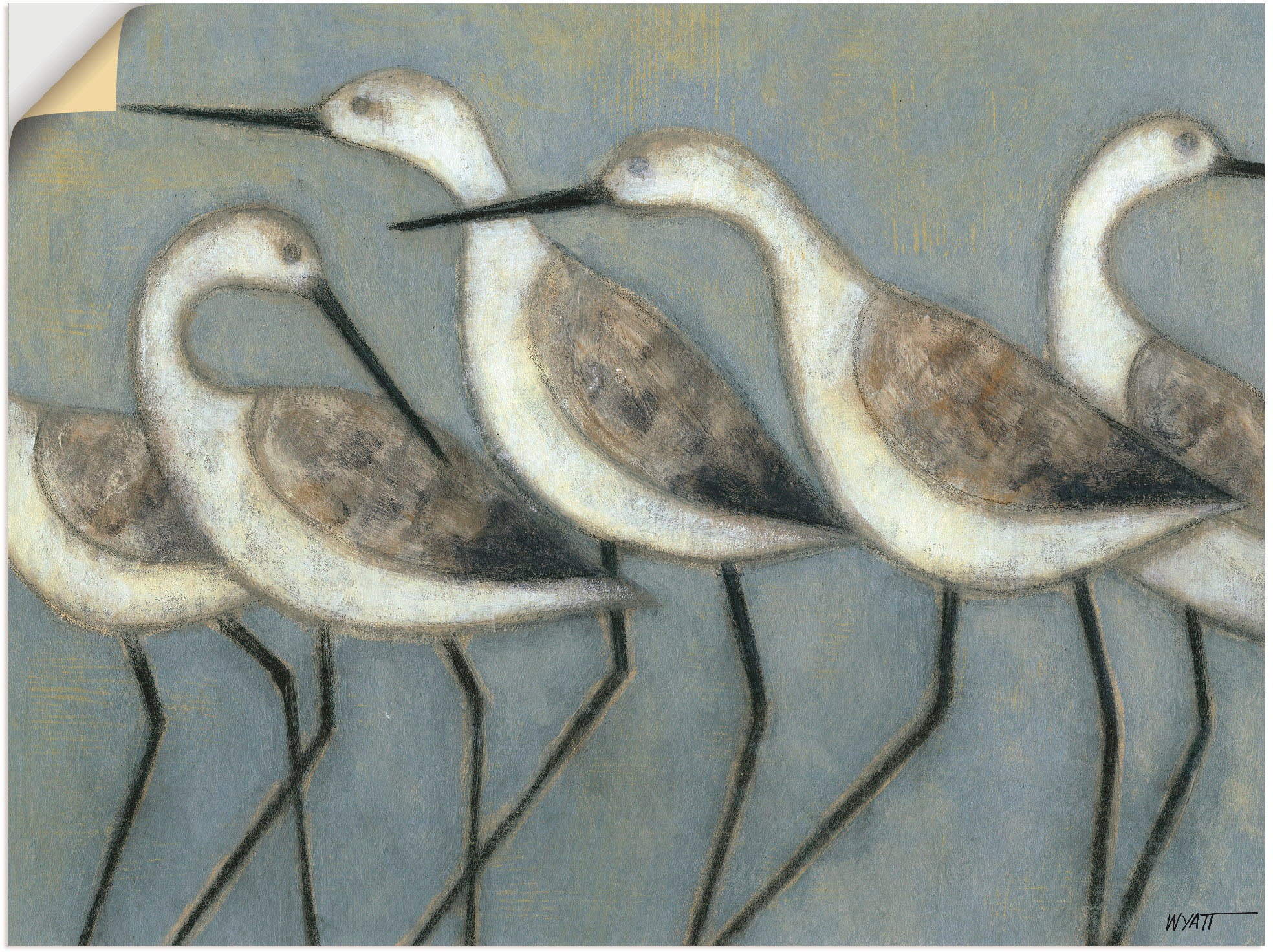Vögel, als Poster (1 Wandaufkleber günstig versch. Alubild, in Grössen I«, »Küstenvögel St.), kaufen Wandbild oder Leinwandbild, Artland