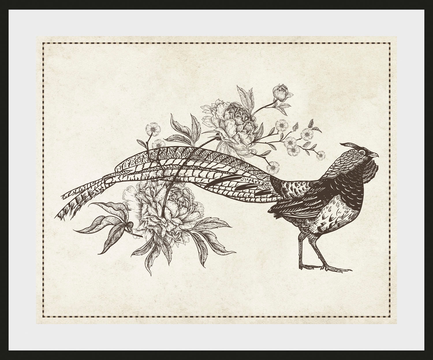 queence Bild »Nathi«, Vögel-Vogelbilder-historische Ereignisse-Kunst, (1 St.), HD Premium Poster-Druck inkl. Holzrahmen