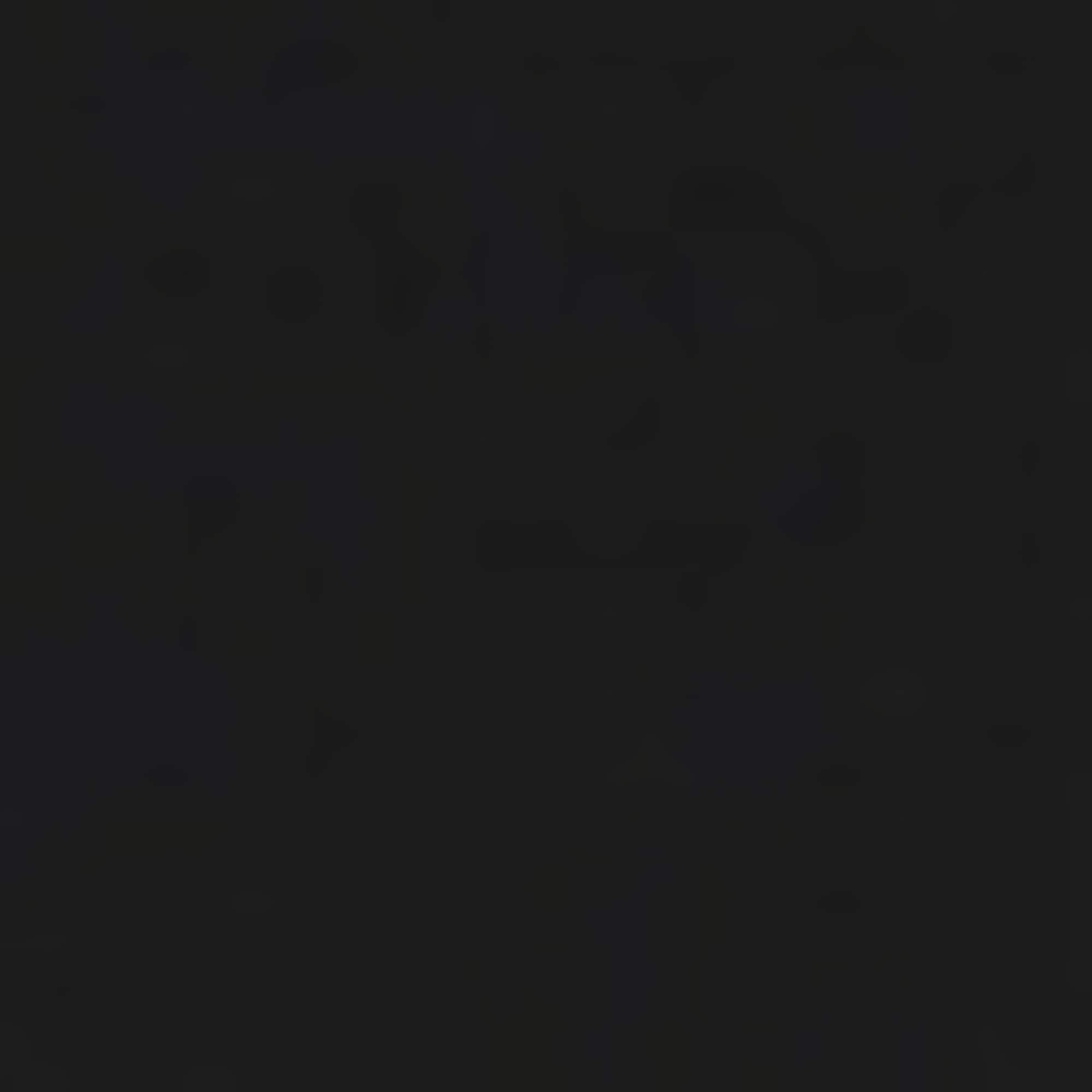 BOSS Boxershorts 2 Stk.