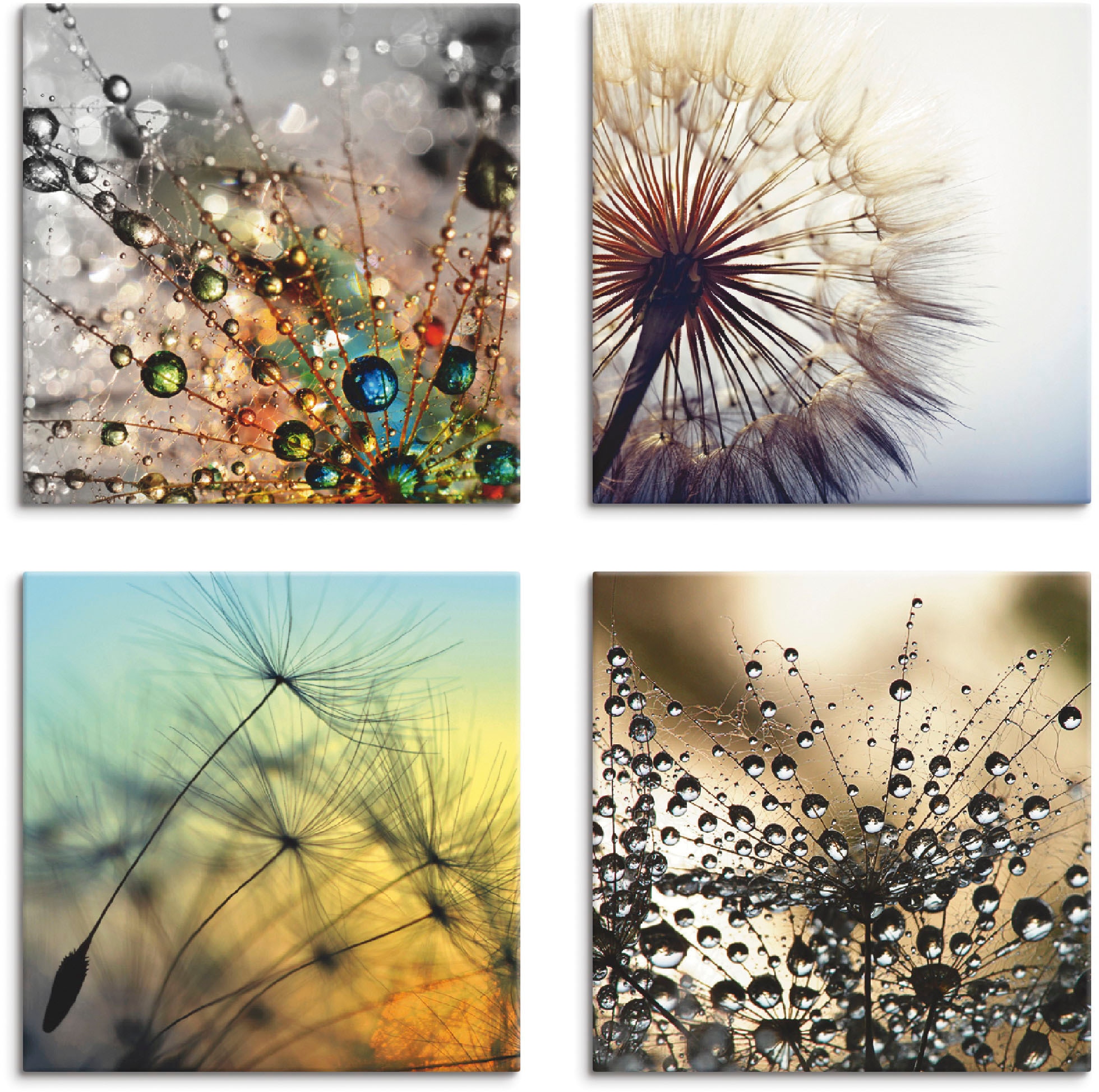 Image of Artland Leinwandbild "Pusteblume,Nahaufnahme Löwenzahn" Blumen 4 Stk. tlg. 4er Set, verschiedene Grössen