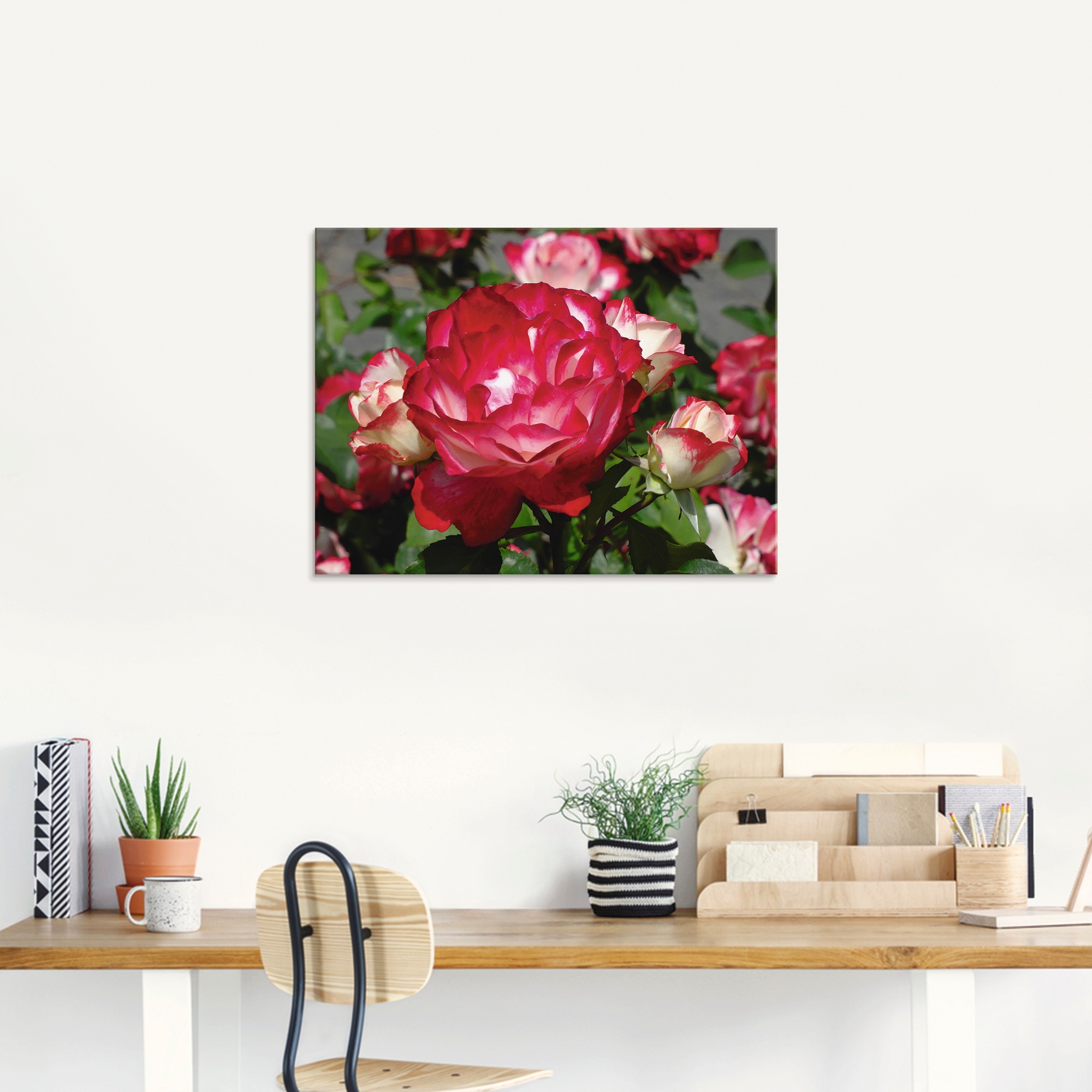 Artland Glasbild »Rot weisse Rosenblüte«, Blumen, (1 St.), in verschiedenen Grössen