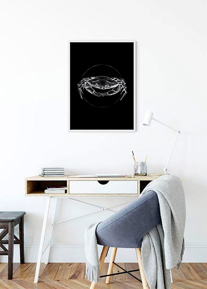 Image of Komar Bild "Crab Black" Tiere 1 Stk. tlg. Wandbild zur Dekoration - ohne Rahmen