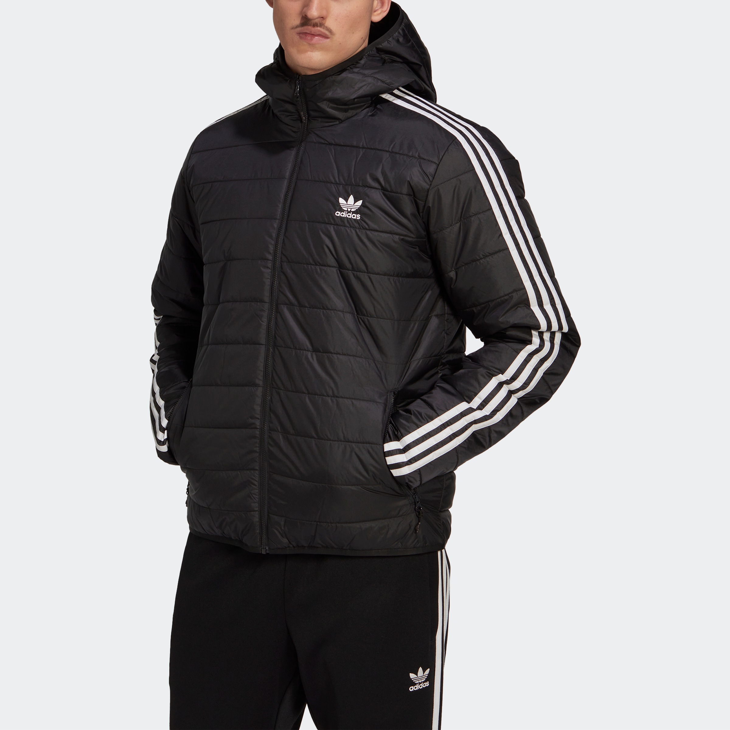 Image of adidas Originals Outdoorjacke »PADDED HOODED PUFFER« bei Ackermann Versand Schweiz