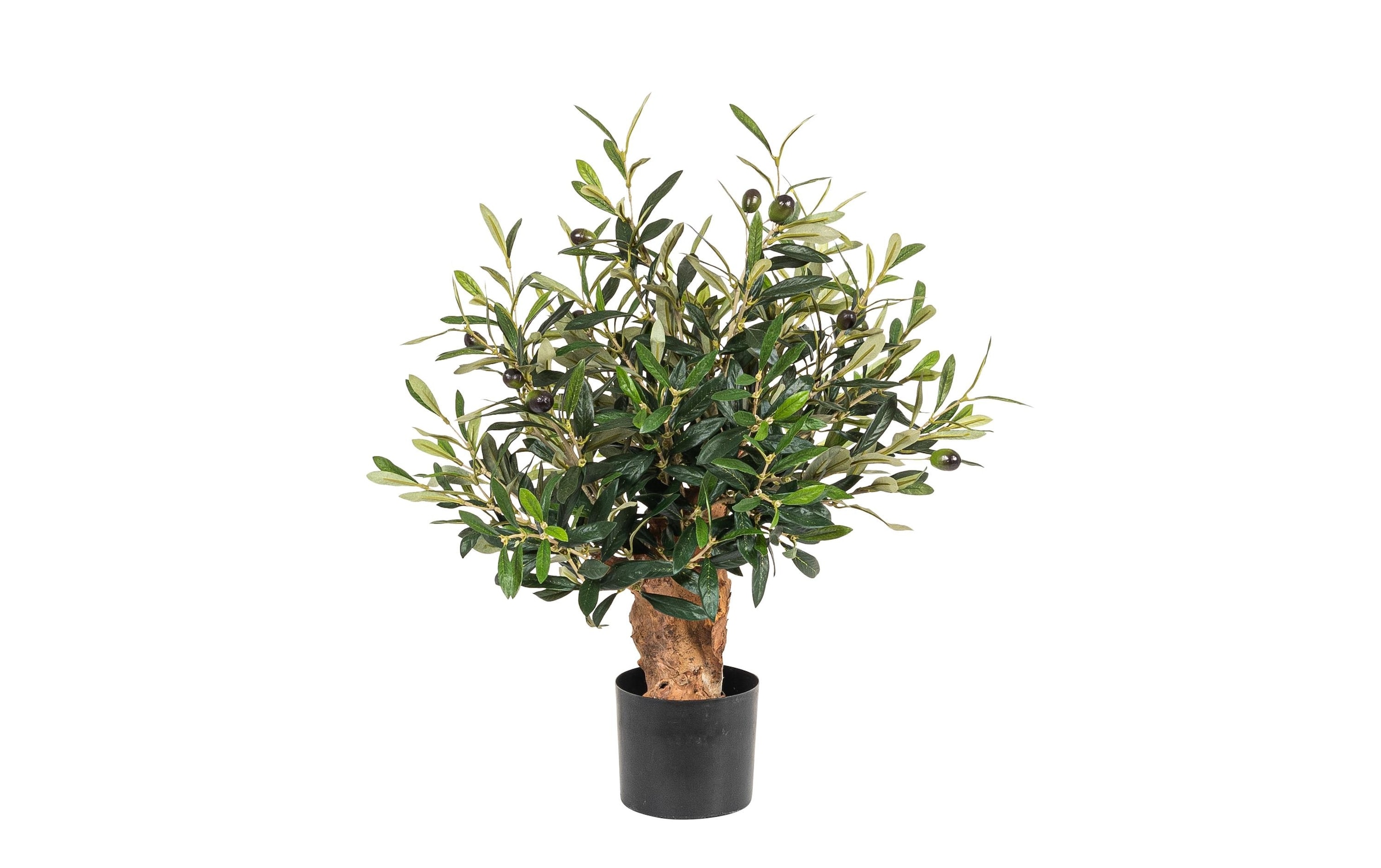 Kunstblume »Olivenbaum«