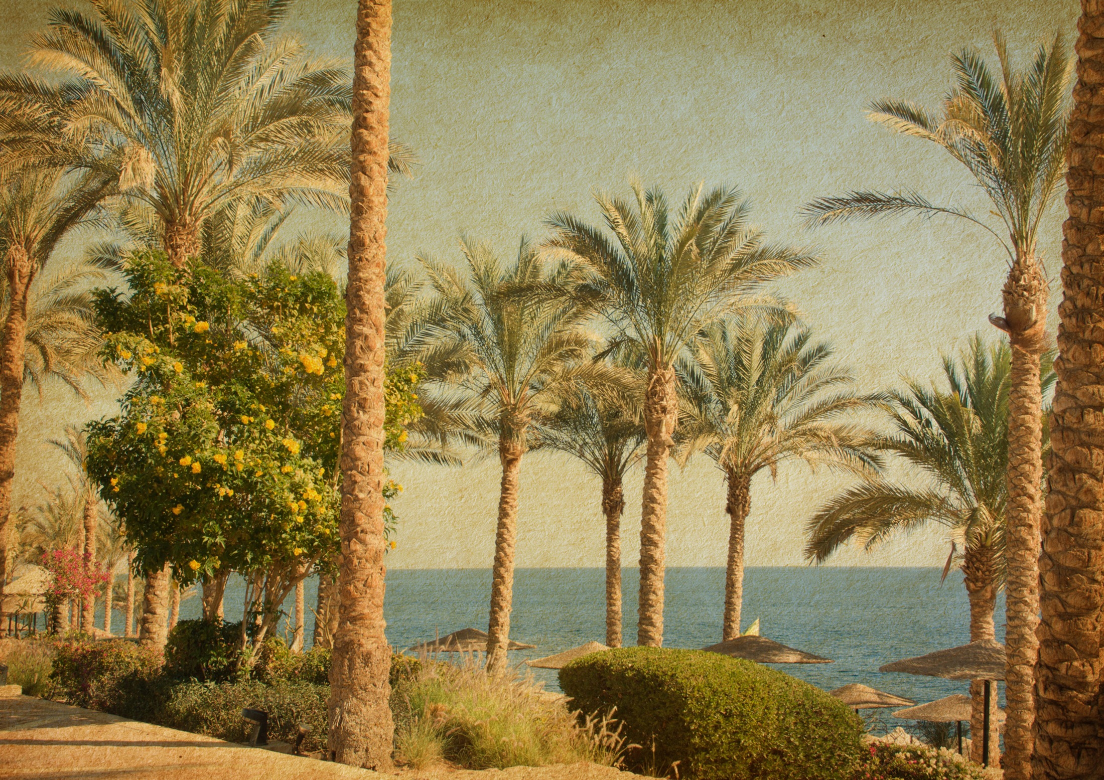 Image of Papermoon Fototapete »PALMEN-STRAND-VINTAGE BRÜCKE KARIBIK SÜDSEE MEER DÜNEN«, Vliestapete, hochwertiger Digitaldruck, inklusive Kleister bei Ackermann Versand Schweiz