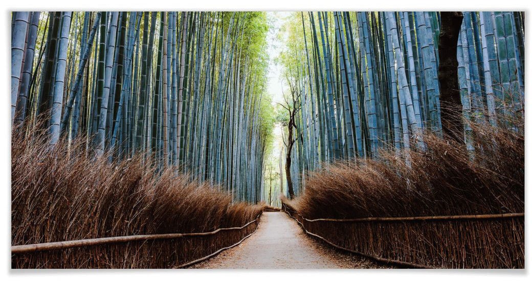Wall-Art Poster »Bambushöhle Japan«, Höhlen, (1 St.), Poster, Wandbild, Bild,  Wandposter bequem kaufen