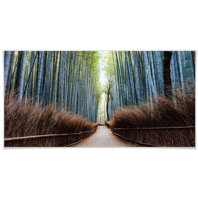 Wall-Art Poster »Bambushöhle Japan«, Höhlen, (1 St.), Poster, Wandbild, Bild,  Wandposter bequem kaufen