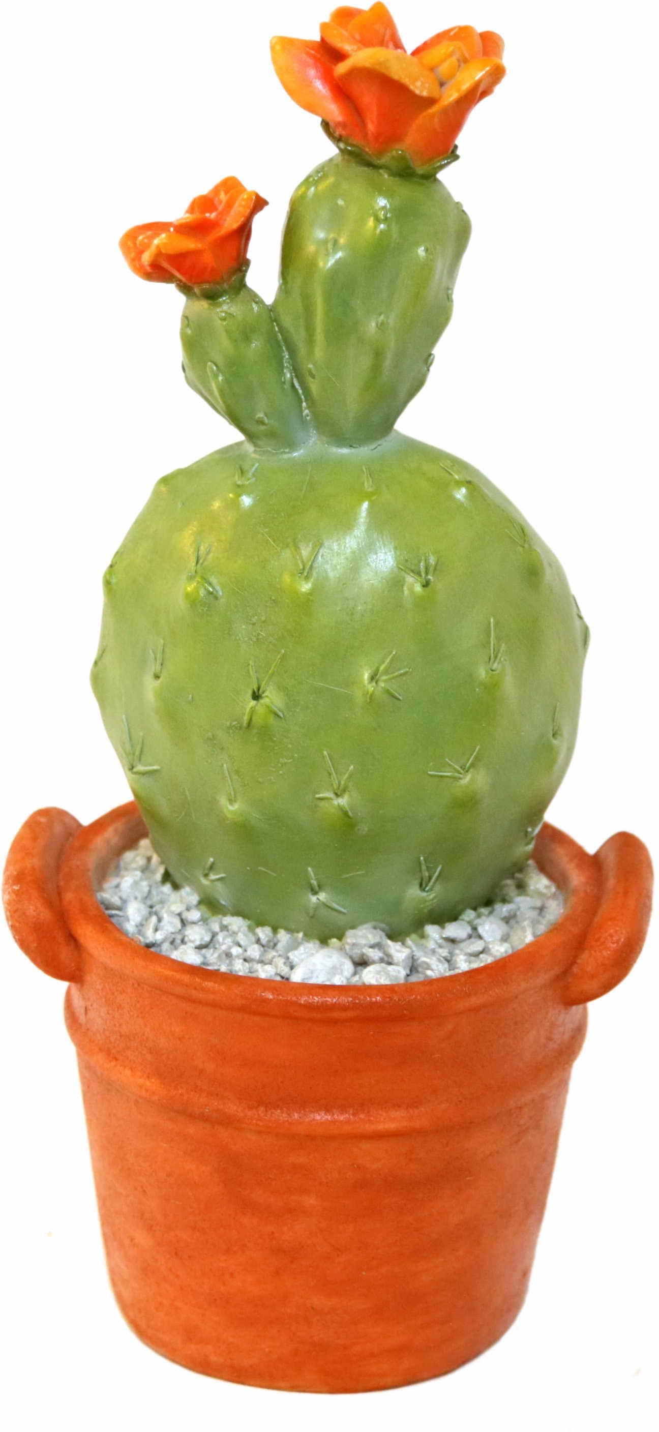 Image of Casa Collection by Jänig Fensterdekoration »Kaktus, Höhe: 26,8cm«, (1 St.) bei Ackermann Versand Schweiz