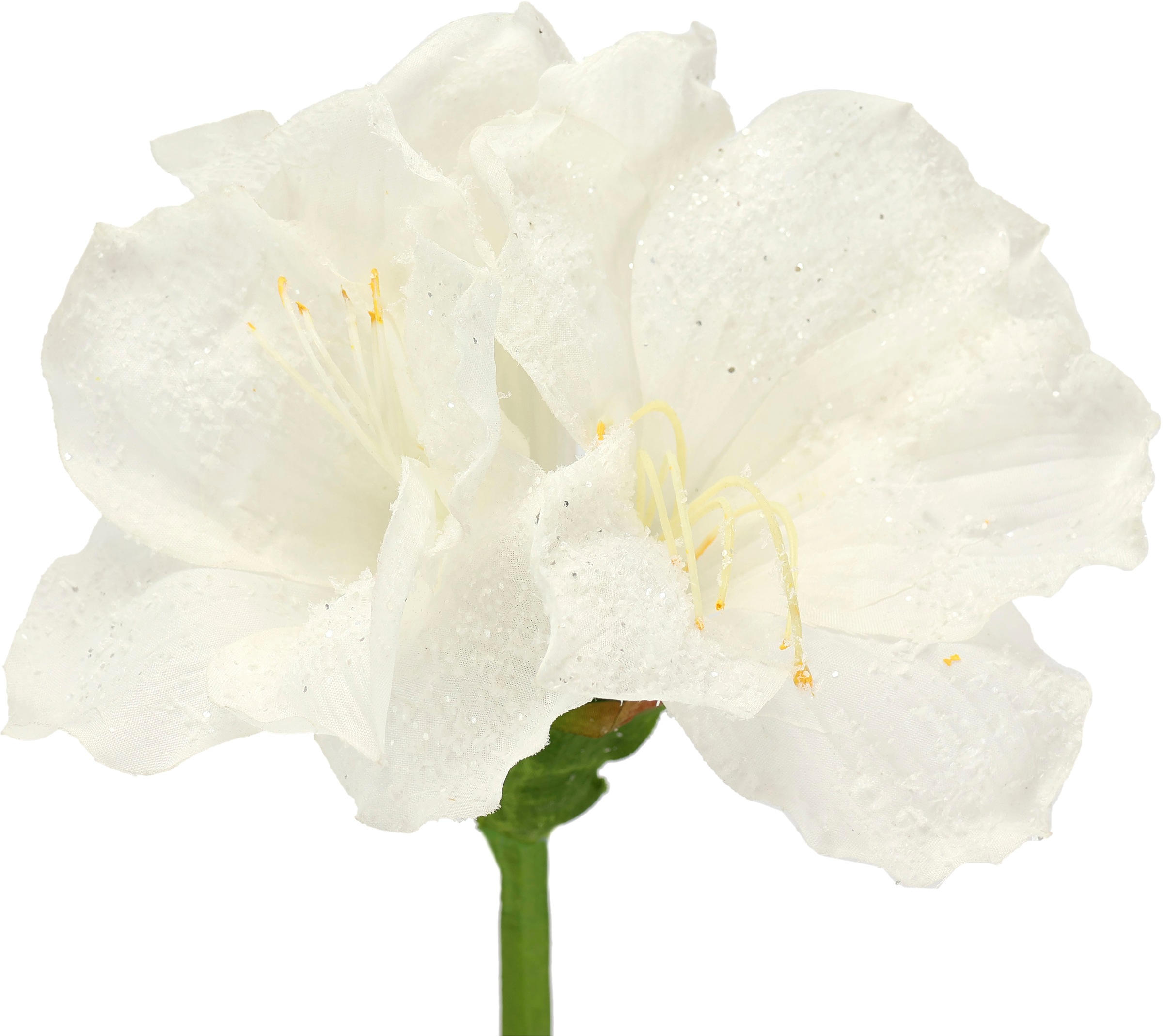 I.GE.A. Kunstblume »Amaryllis 2er Set«, 60cm Blumen Zweig Dekozweig Weihnachtsdeko Weihnachtsblume Deko