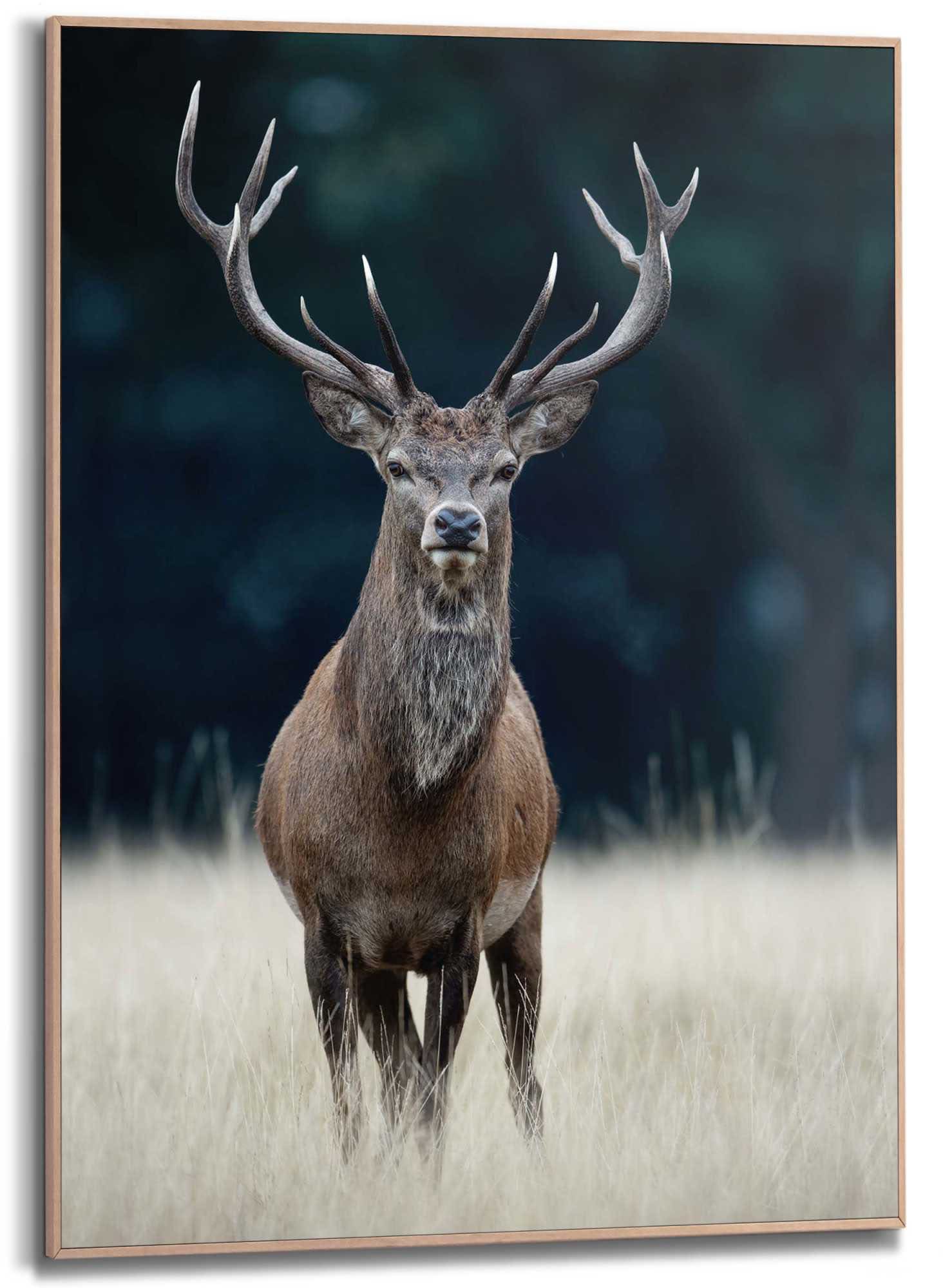 bequem Frame Wood Deer« 50x70 Reinders! »Slim kaufen Wandbild
