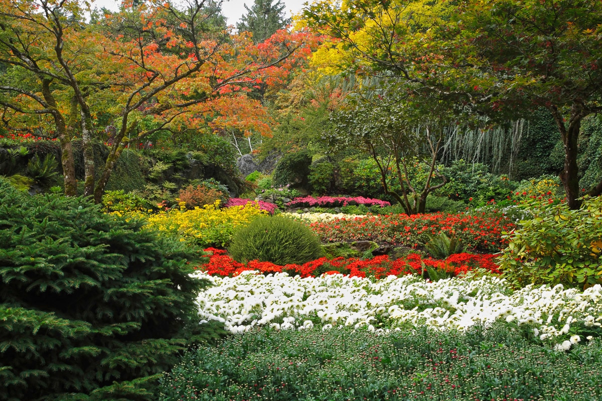 Image of Papermoon Fototapete "Blumen Garten"
