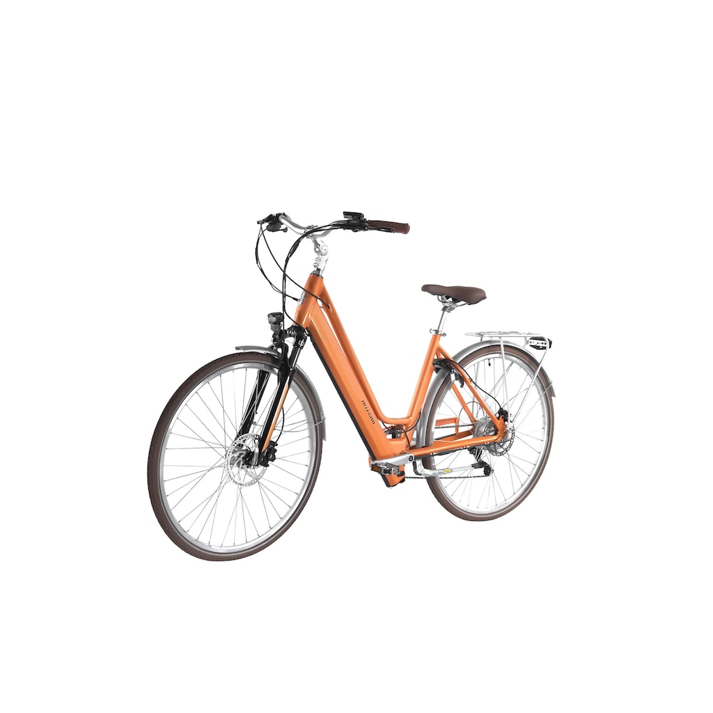 ALLEGRO E-Bike »City ACIL°03«, Heckmotor 250 W