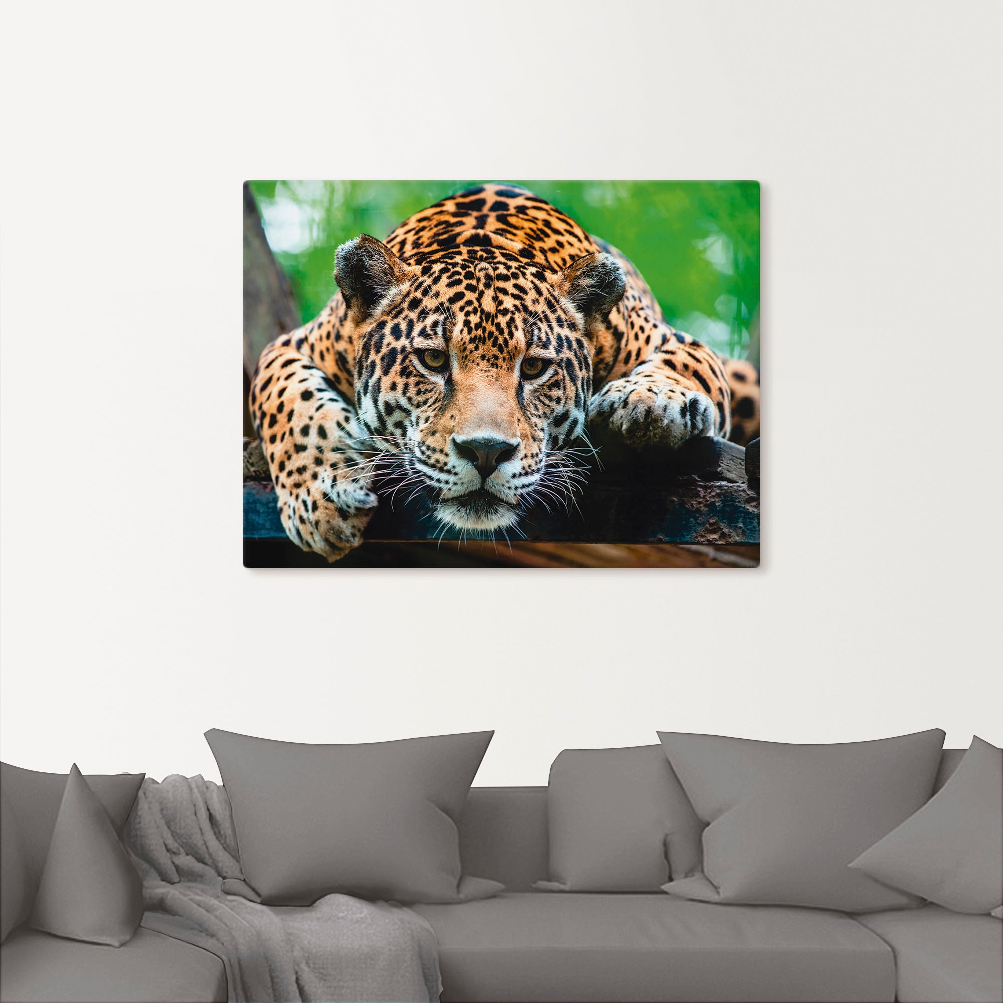 Artland Tableau sur toile »Südamerikanischer Jaguar« 1 cuis tlg. auf Holzrahmen gespannt