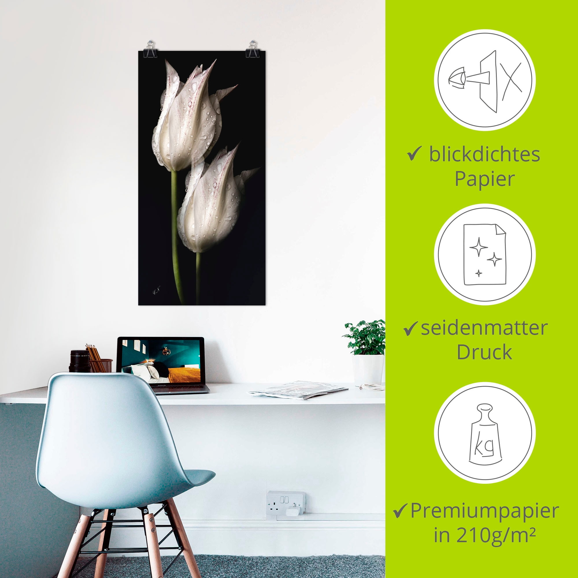 Artland Wandbild »Weisse Tulpen in der Nacht«, Blumenbilder, (1 St.), als Alubild, Outdoorbild, Leinwandbild, Poster, Wandaufkleber