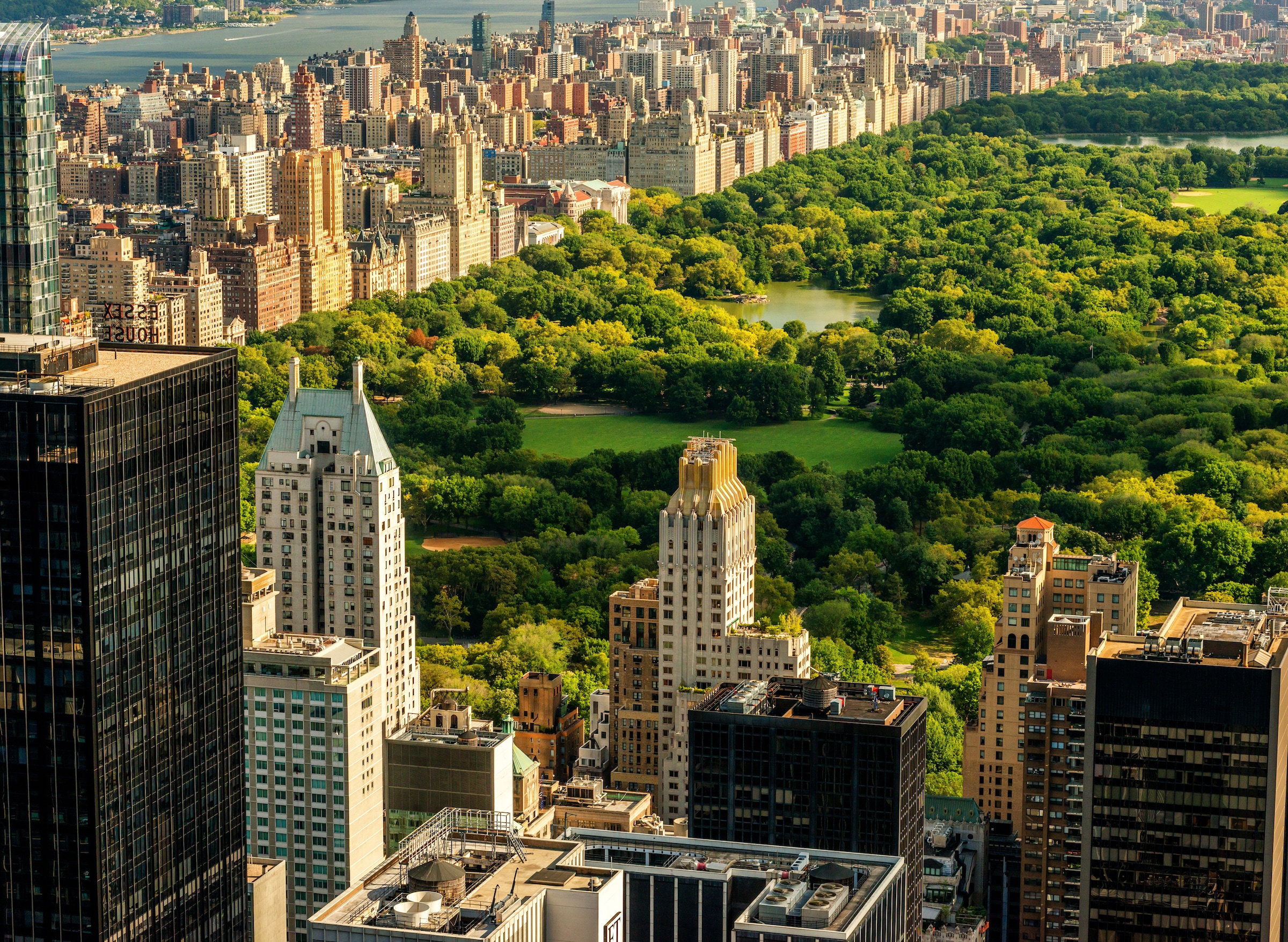 Image of Papermoon Fototapete "Central Park Manhattan" glatt