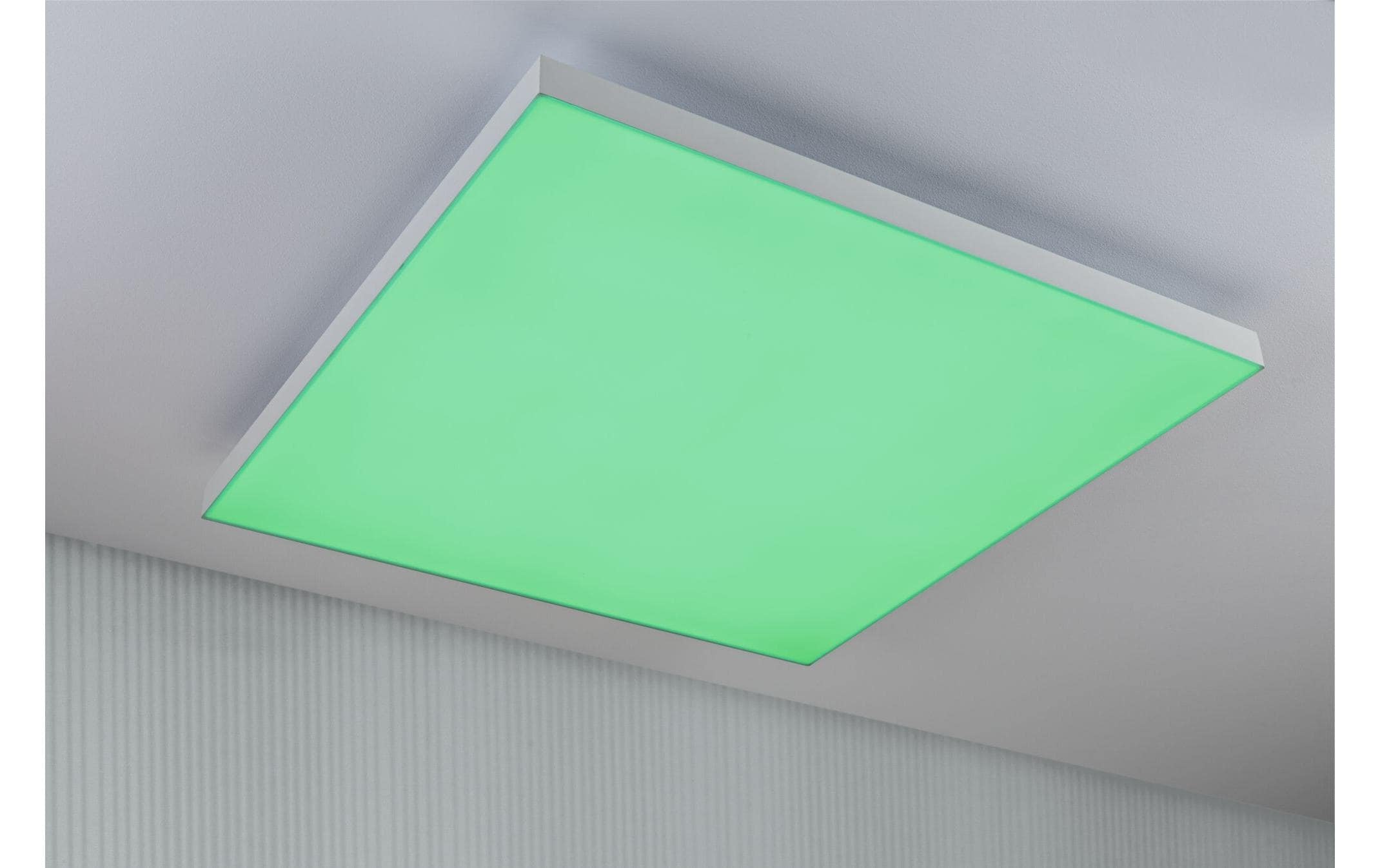 Paulmann Deckenleuchte »LED Panel Ve«