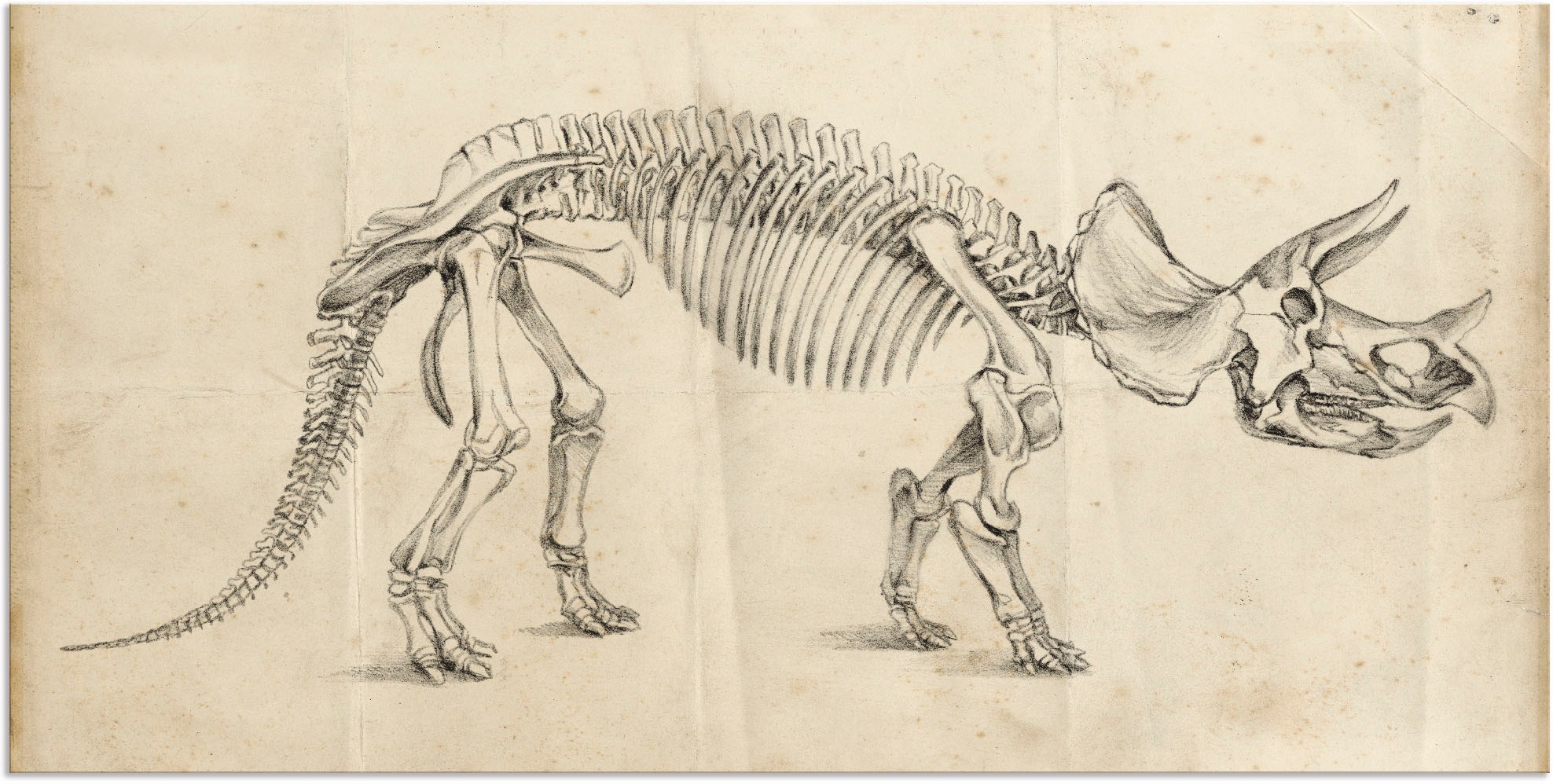 Image of Artland Wandbild »Dinosauria Lehre II«, Dinosaurier, (1 St.), in vielen Grössen & Produktarten - Alubild / Outdoorbild für den Aussenbereich, Leinwandbild, Poster, Wandaufkleber / Wandtattoo auch für Badezimmer geeignet bei Ackermann Versand Schweiz