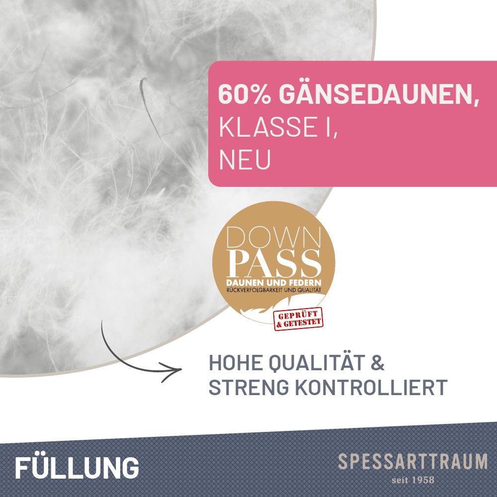 SPESSARTTRAUM Gänsedaunenkopfkissen »Premium, Kopfkissen 1-tlg. oder  2-tlg. 40x80 oder 80x80 cm« Füllung: 60Gaensedaunen40Gaensefedern 1 Stk. tlg. hergestellt in Deutschland, allergikerfreundlich, im Set günstiger
