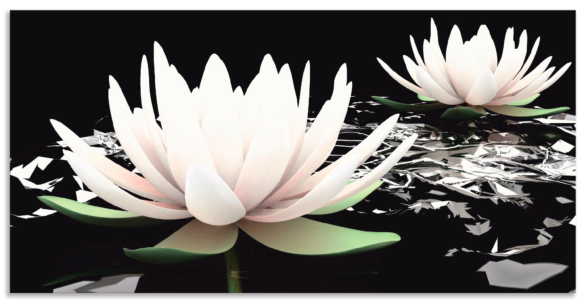 Image of Artland Wandbild »Zwei Lotusblumen auf dem Wasser«, Blumen, (1 St.), in vielen Grössen & Produktarten - Alubild / Outdoorbild für den Aussenbereich, Leinwandbild, Poster, Wandaufkleber / Wandtattoo auch für Badezimmer geeignet bei Ackermann Versand Schwei