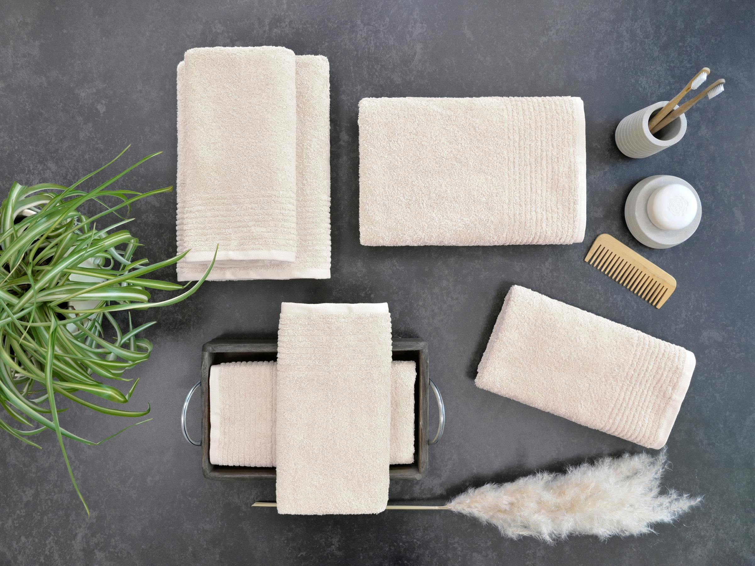 Dyckhoff Handtücher »Brillant« feine Streifenbordüre