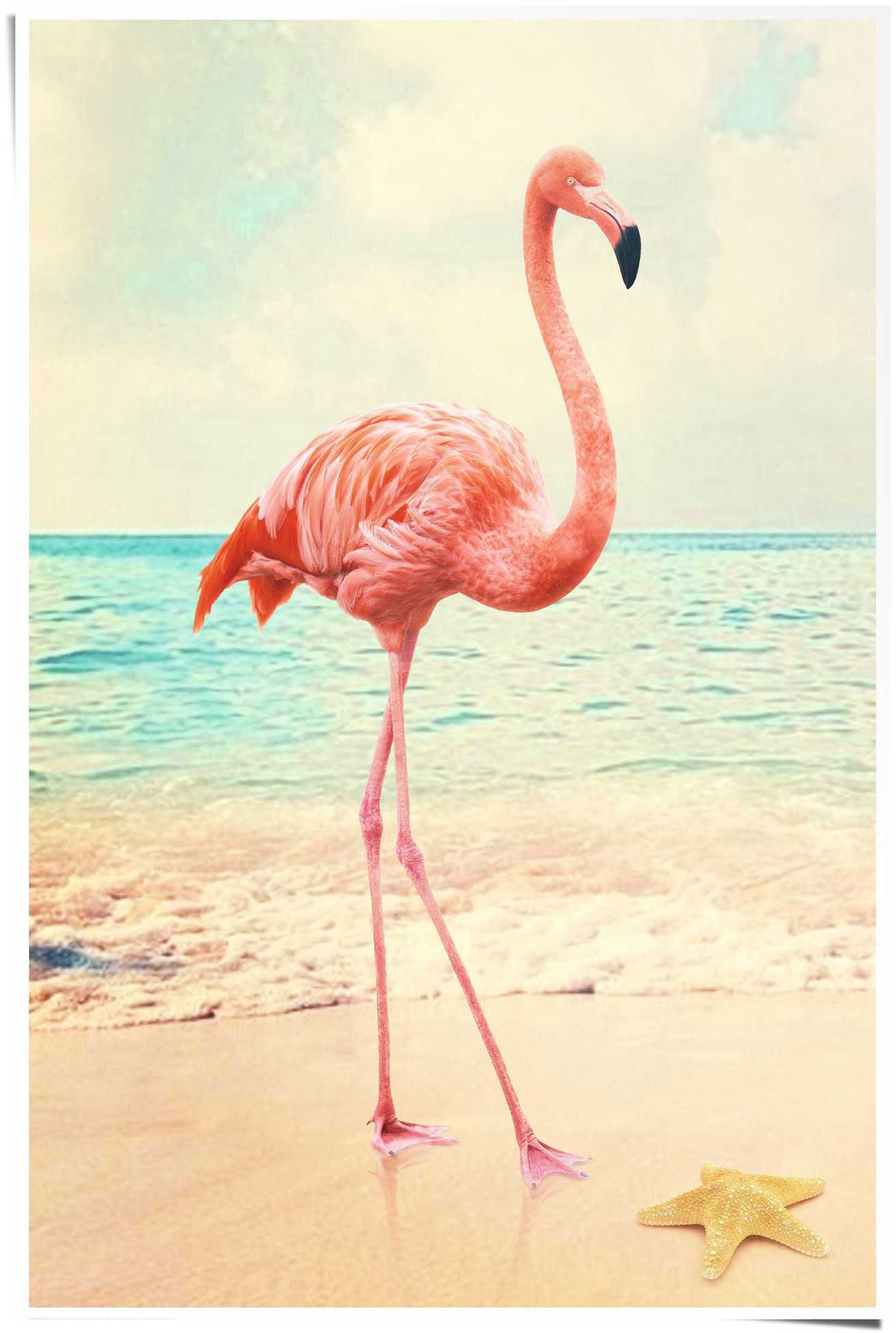 Image of Reinders! Poster »Flamingo am Strand«, (1 St.) bei Ackermann Versand Schweiz