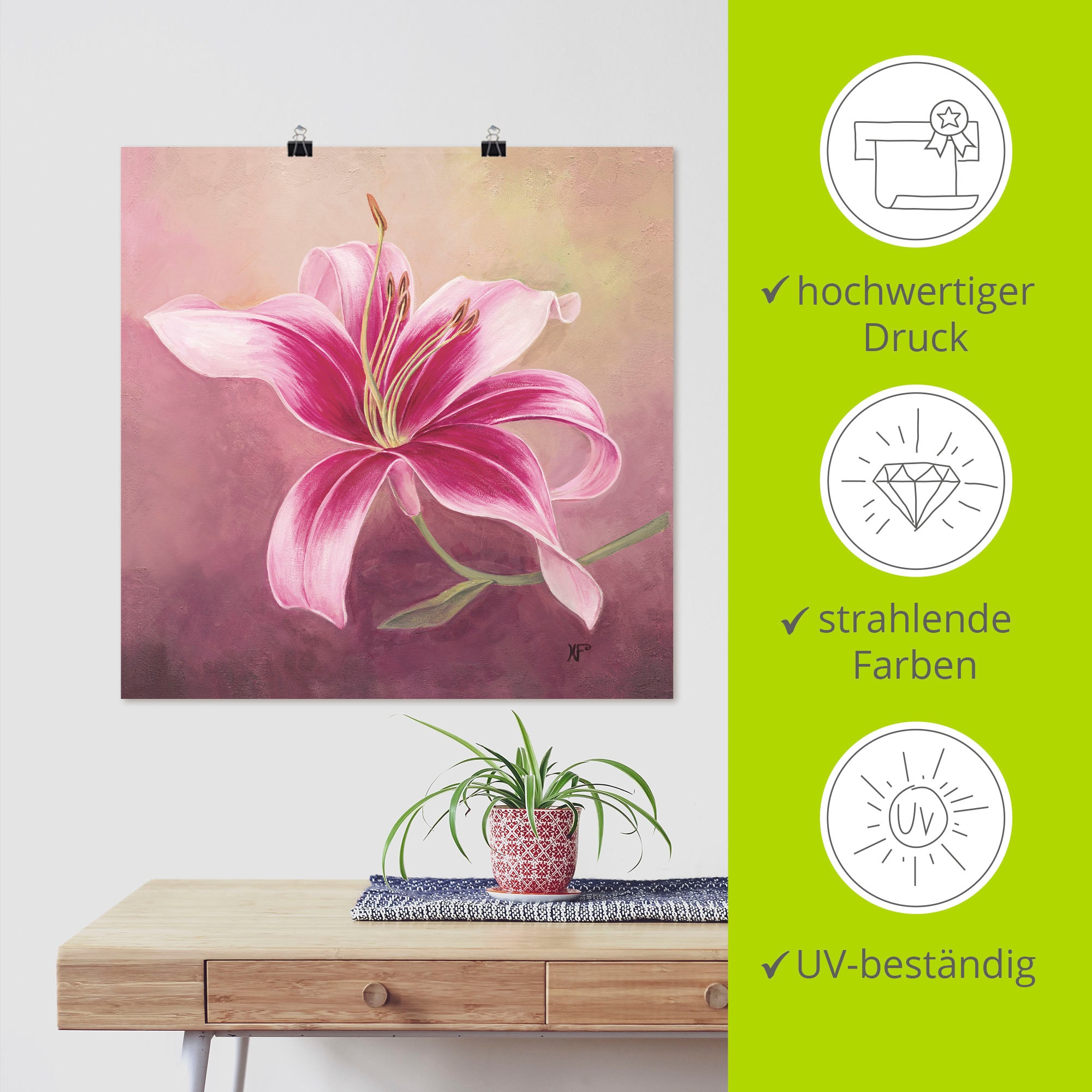 Artland Wandbild »Frühe Lilie«, Blumen, (1 St.), als Leinwandbild, Poster in verschied. Grössen