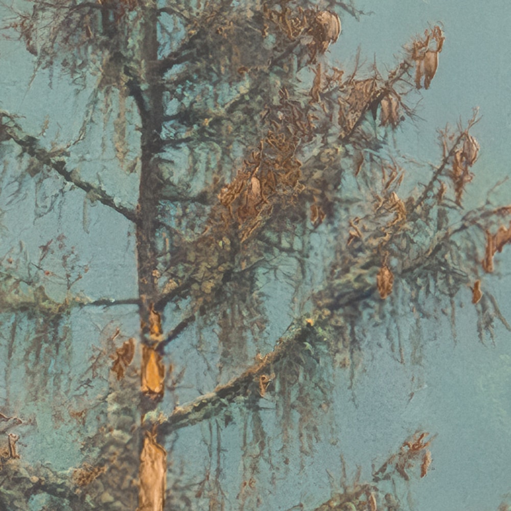 Komar Fototapete »Vlies Fototapete - Foggy Firs - Grösse 400 x 250 cm« Motiv | bedruckt glatt