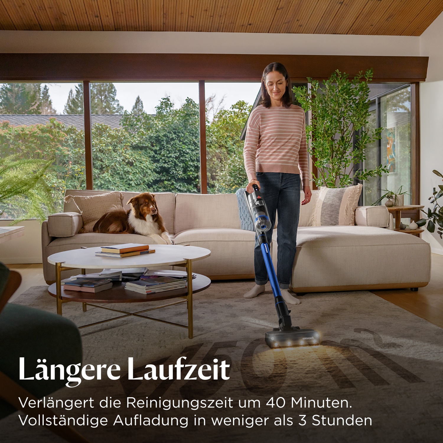 Bissell Zusatz-Akku »4142« 2.000 mAh 25,2