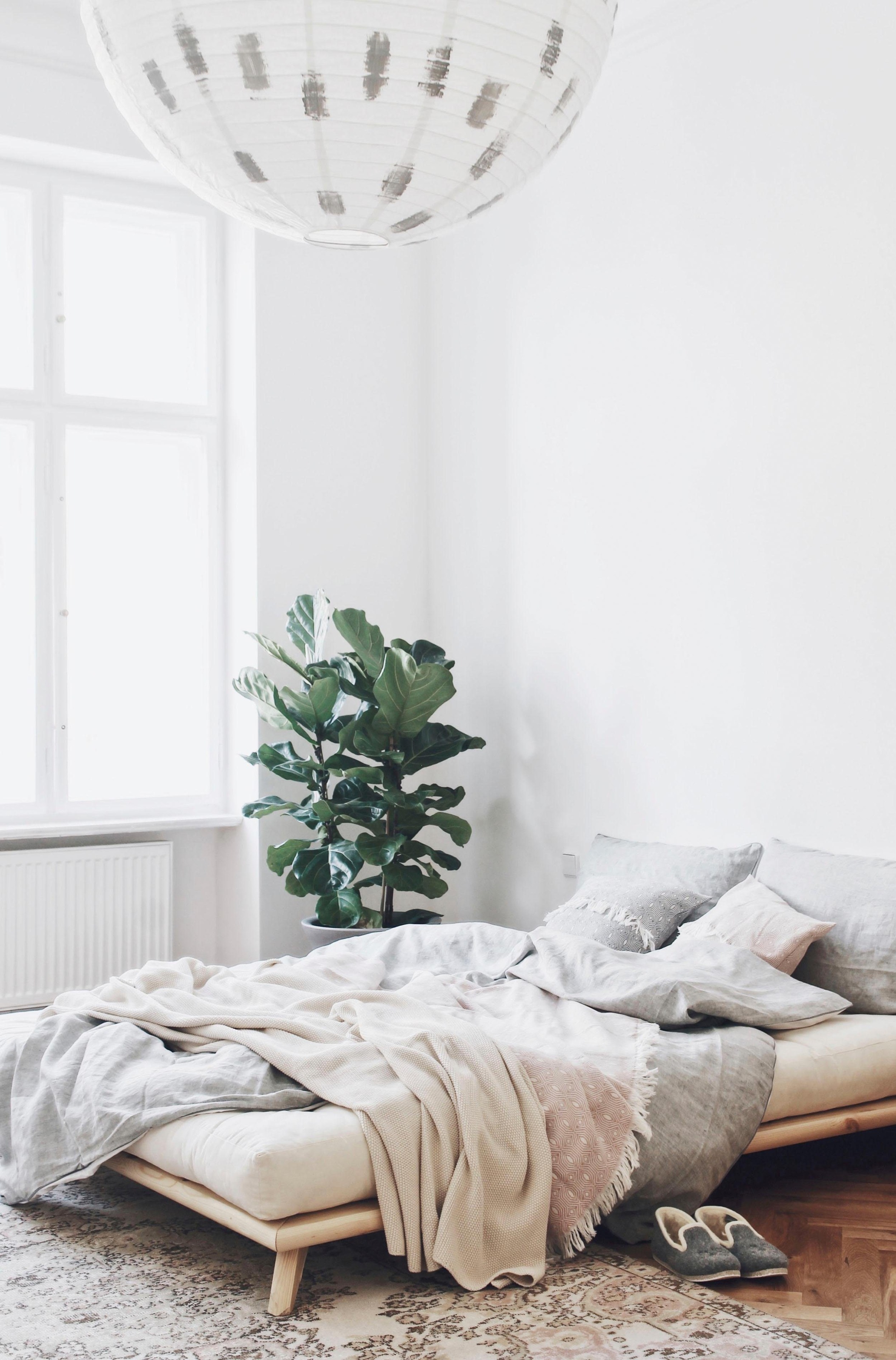 Image of Karup Design Massivholzbett »Senza« bei Ackermann Versand Schweiz