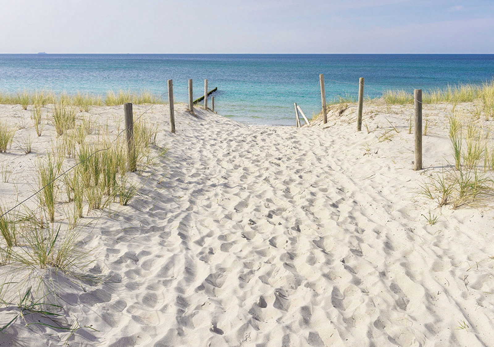 Image of Consalnet Vliestapete »Strandweg und Meerblick«, verschiedene Motivgrössen, für die Küche bei Ackermann Versand Schweiz