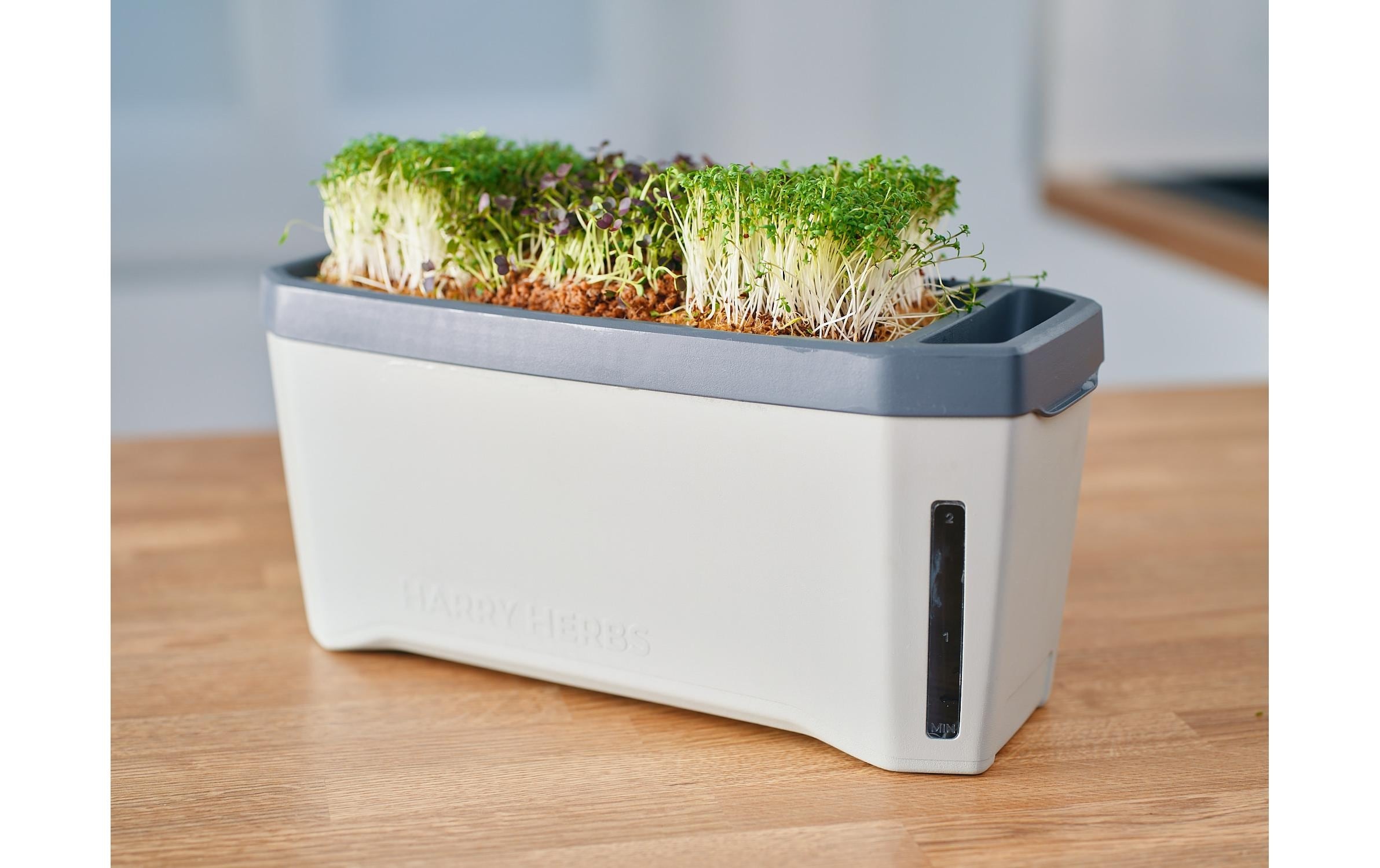 Gusta Garden Kräutertopf »HERBS hellgrau«