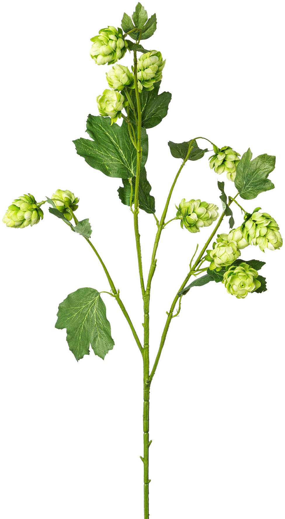Creativ green Kunstzweig »Hopfen«