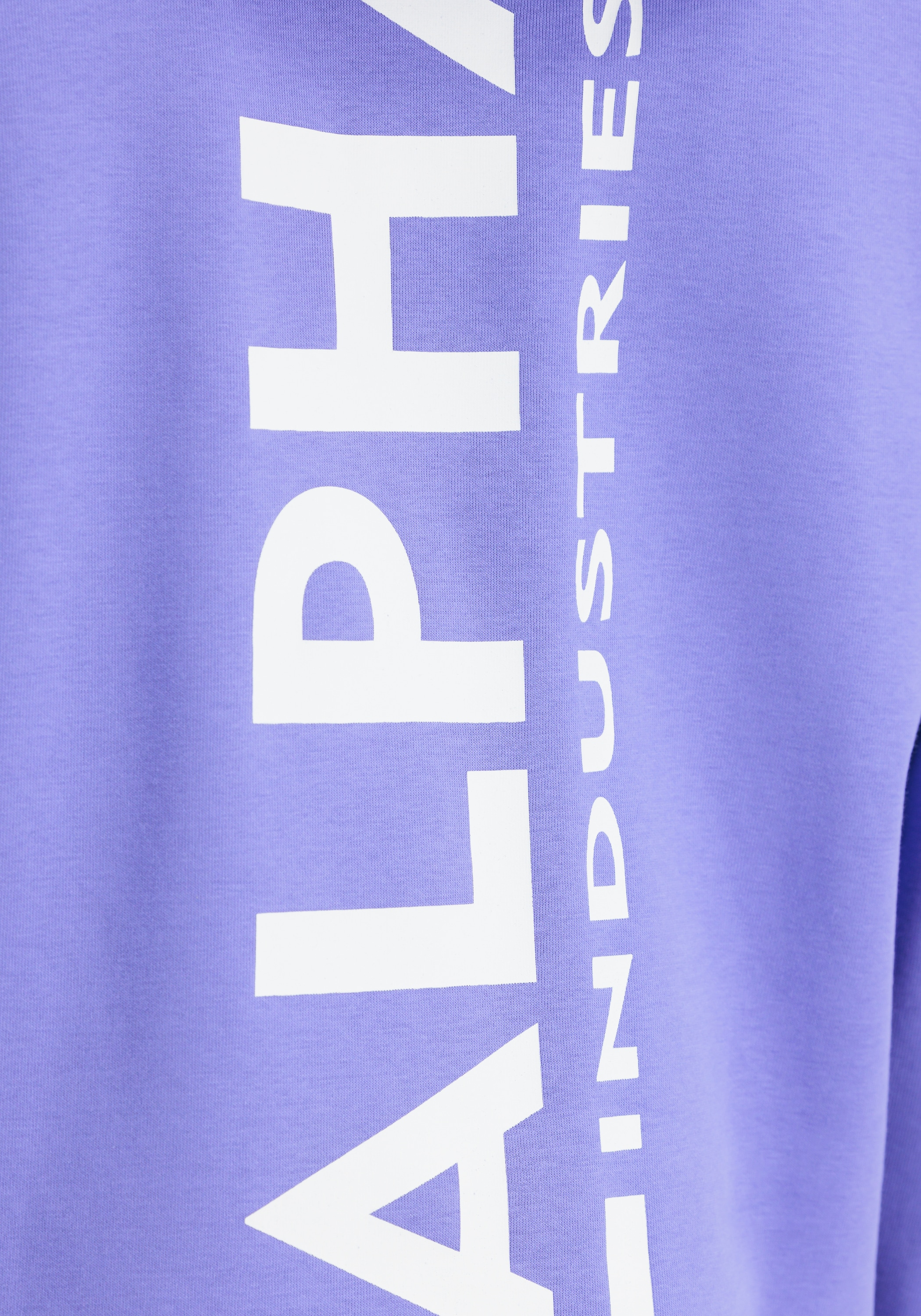 Alpha Industries Hoodie »Alpha Industries Men - Hoodies Back Print Hoodie«